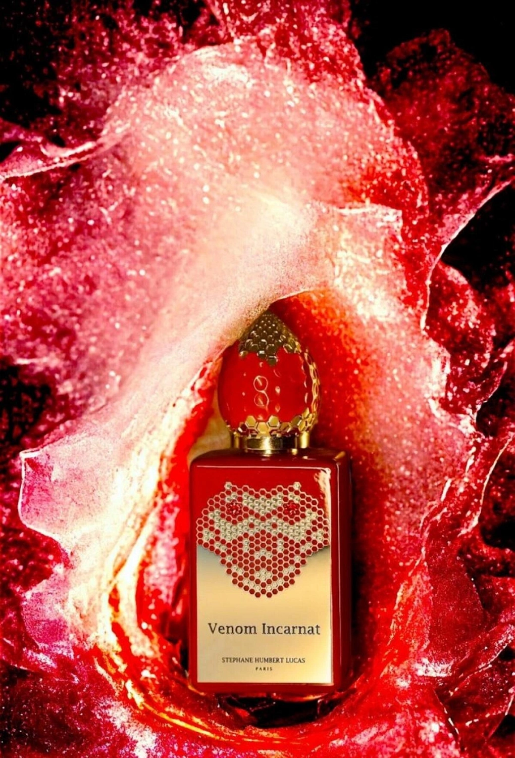 Stéphane Humbert Lucas 777 Venom Incarnat