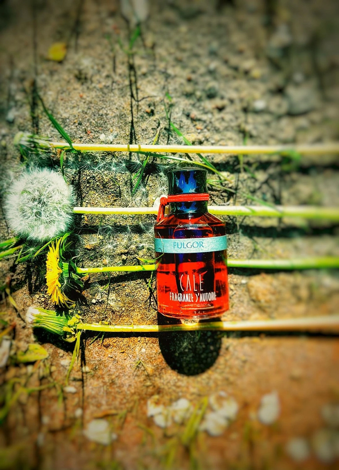 Calé Fragranze d'Autore Fulgor