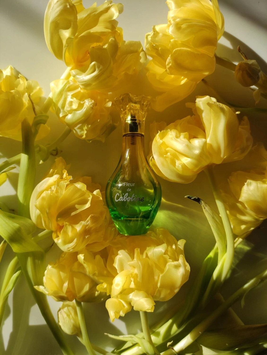 Grès Fleur De Cabotine