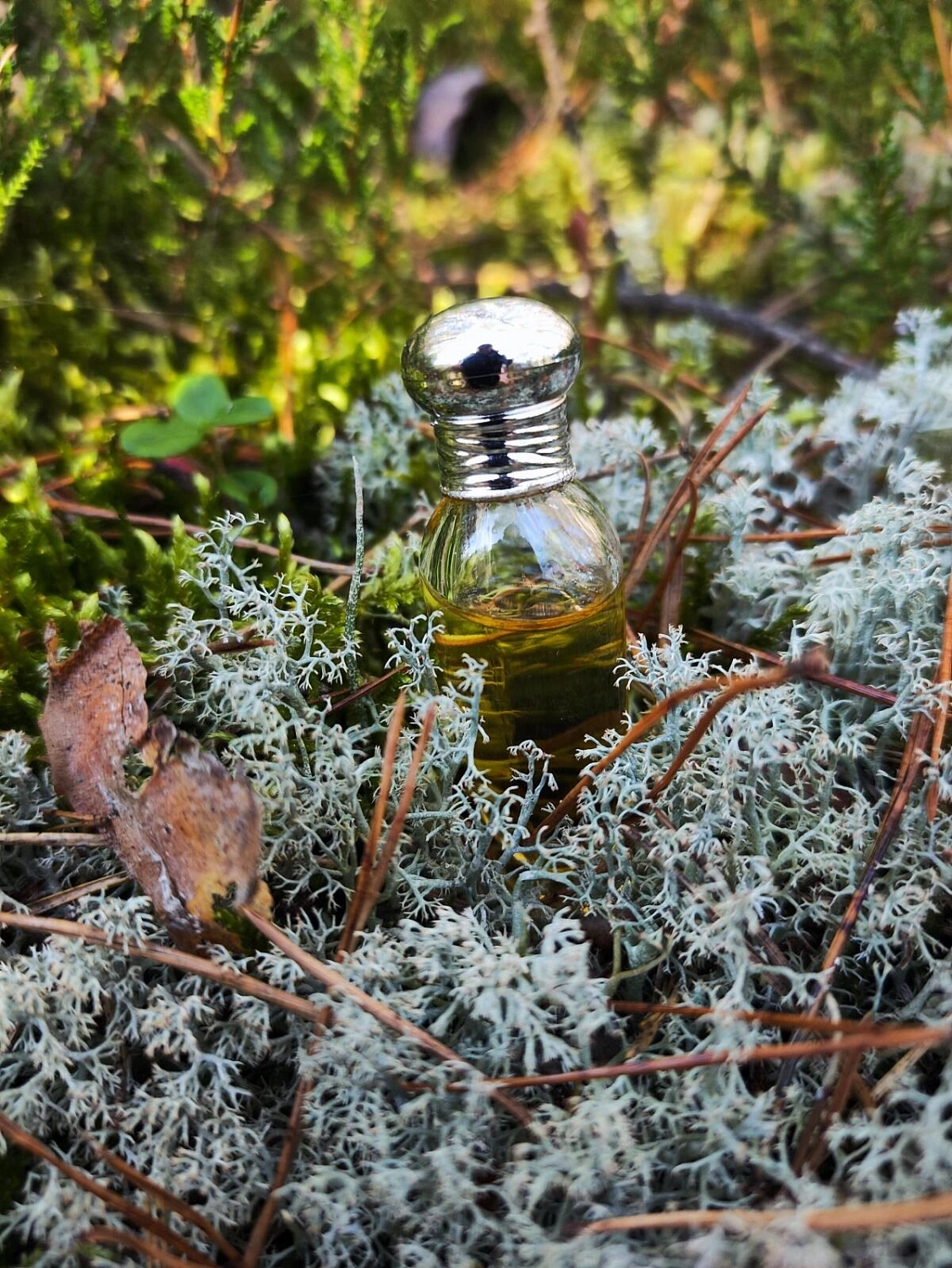 Laura Ashley L'Eau