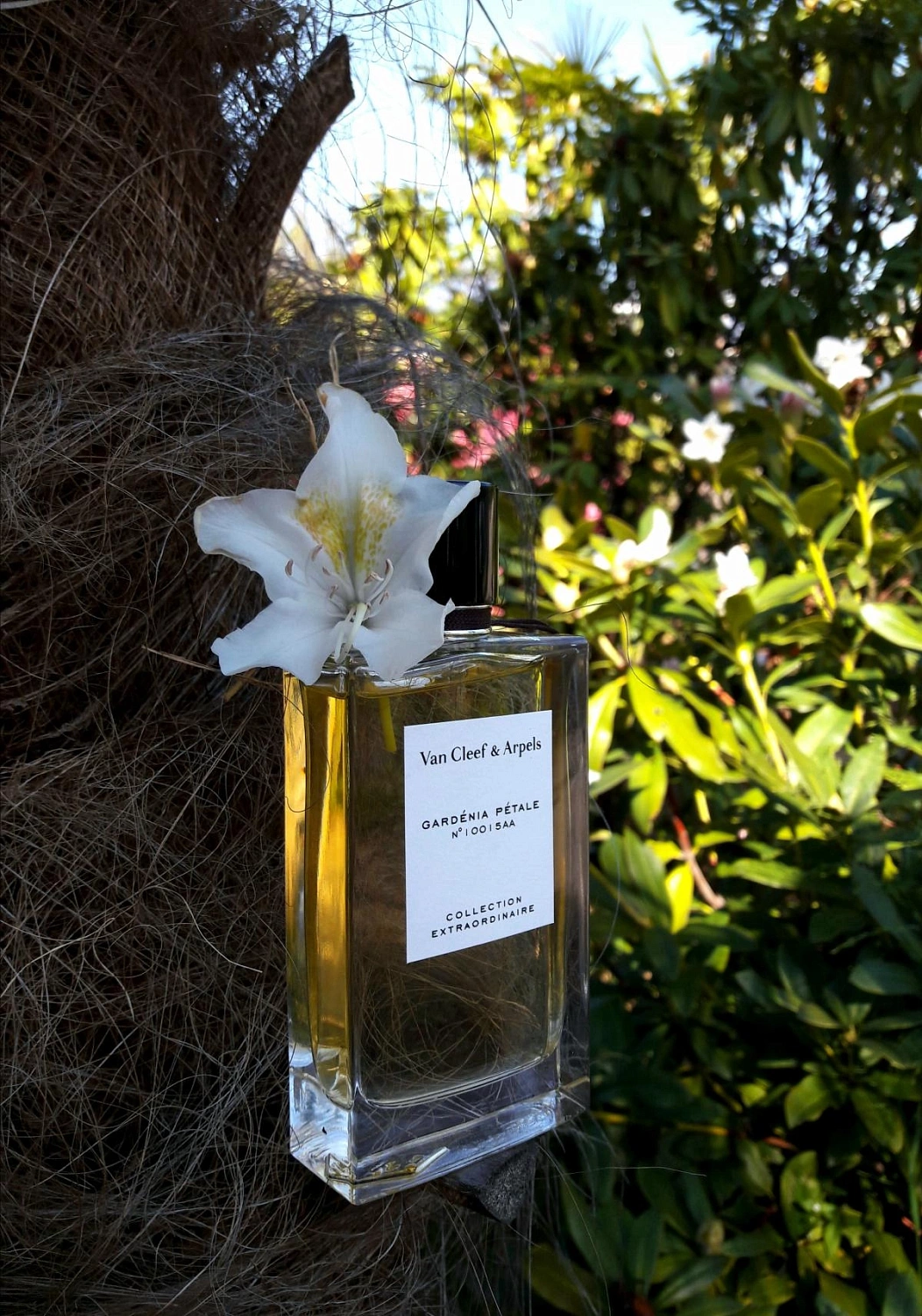 Van Cleef & Arpels Collection Extraordinaire Gardenia Petale
