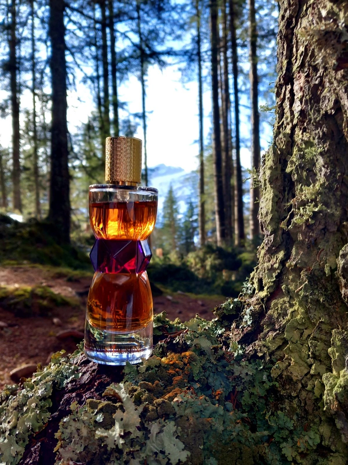 Yves Saint Laurent Manifesto