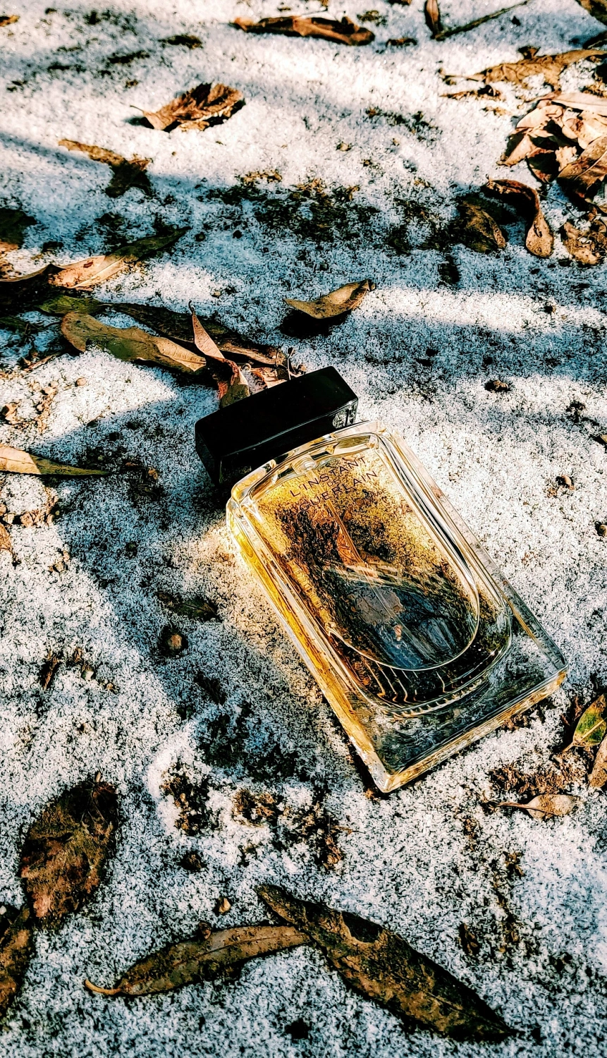 L'Instant de Guerlain pour Homme