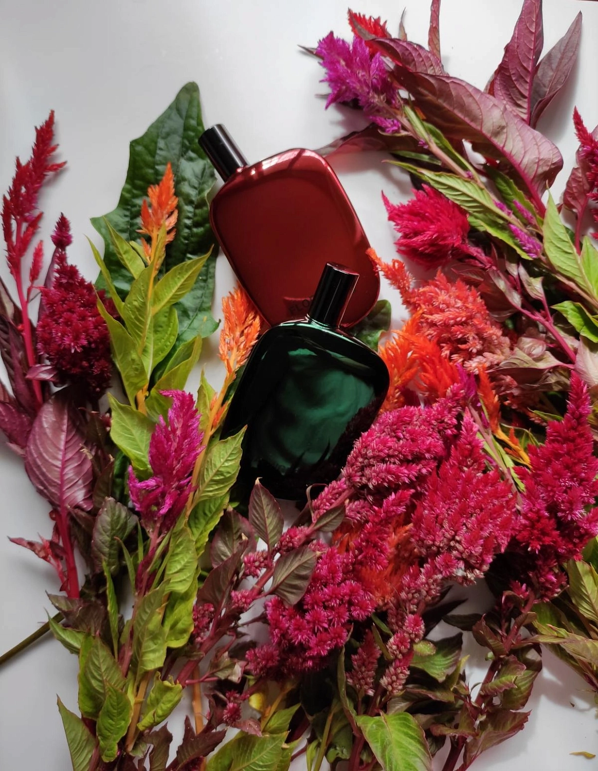 Comme des Garçons Amazingreen