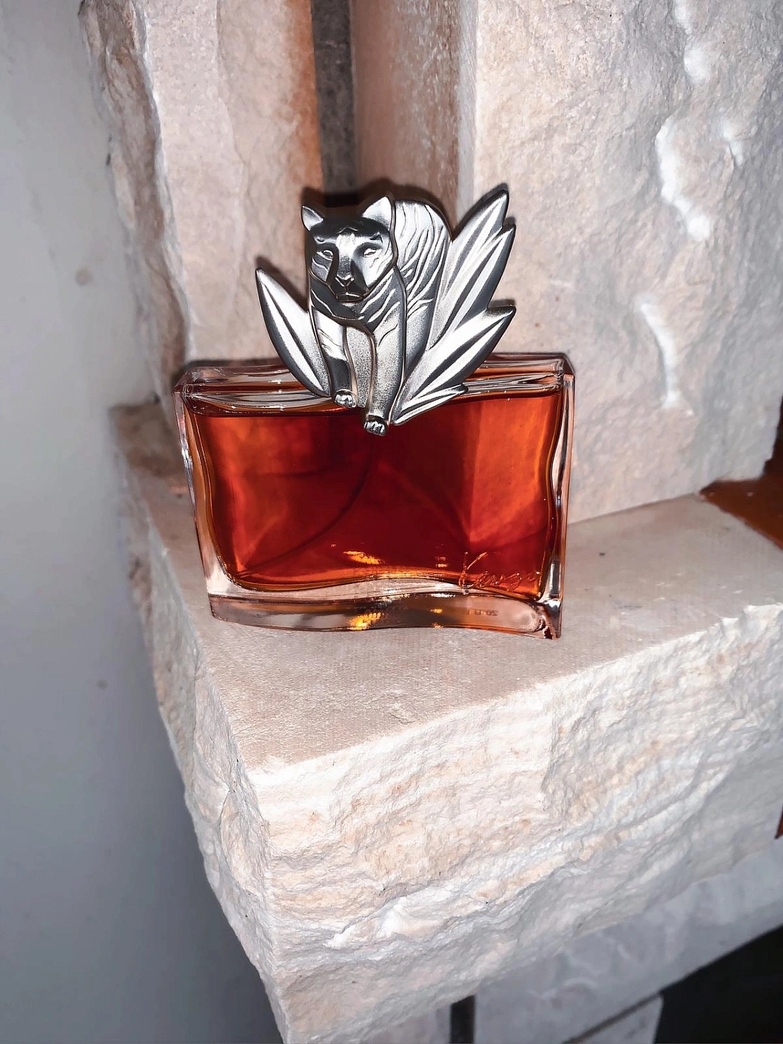 Kenzo Jungle le Tigre