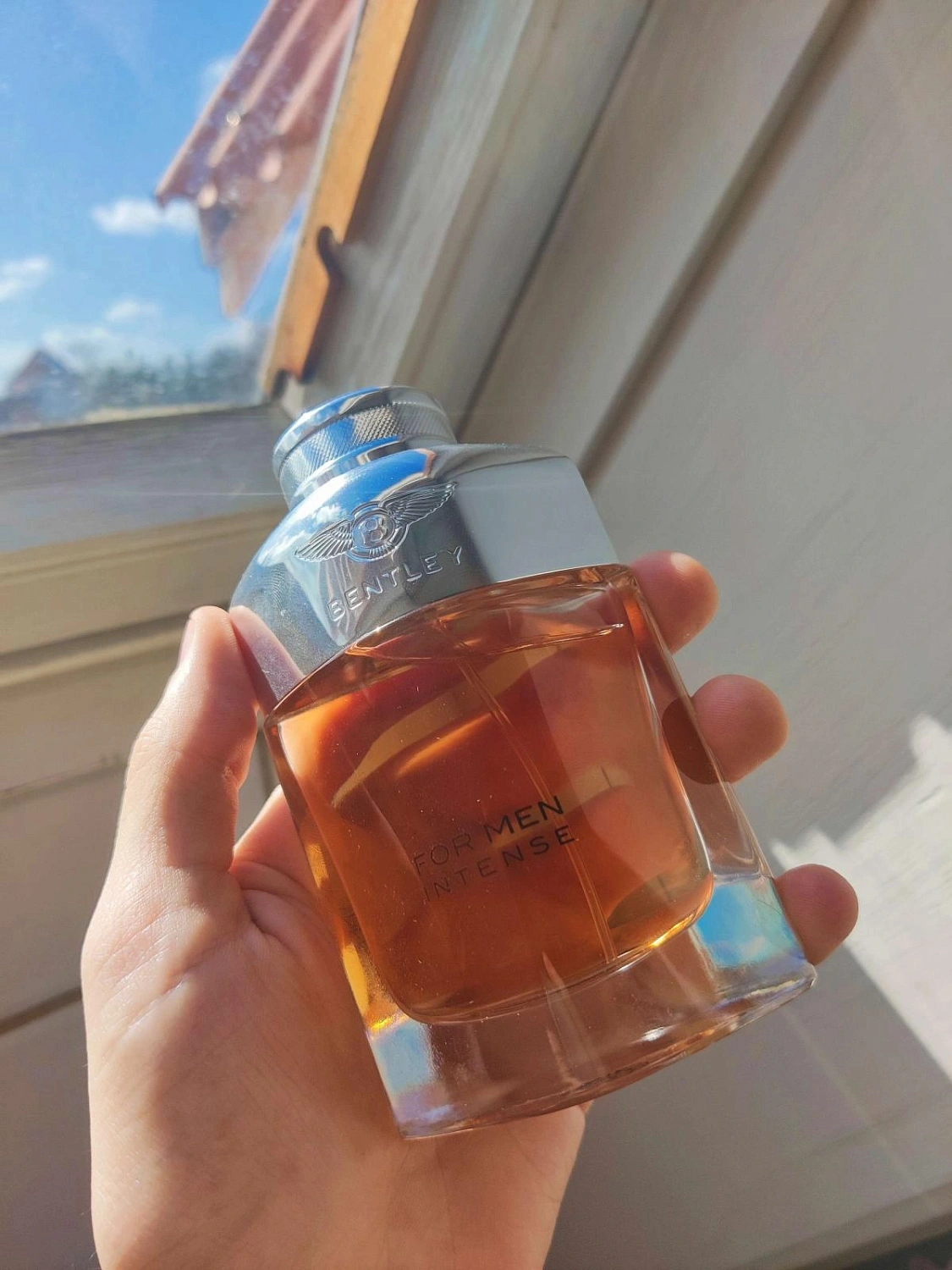 Bentley for Men Intense