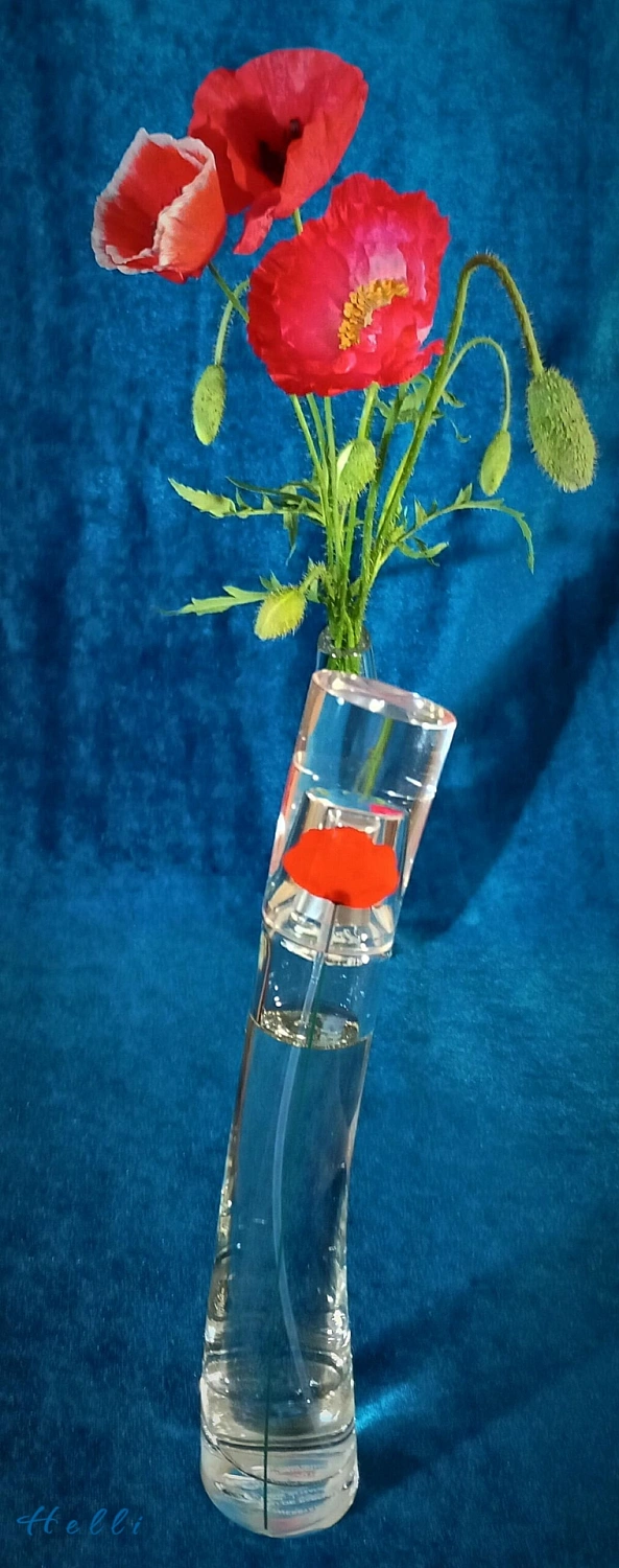 Flower by Kenzo