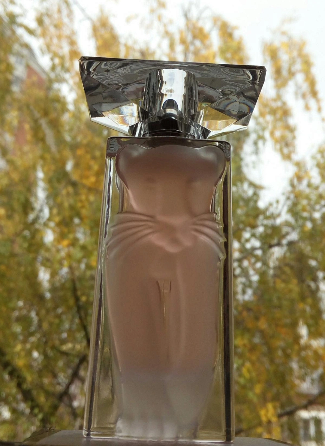 Salvador Dalí La Belle et l'Ocelot Eau de Toilette