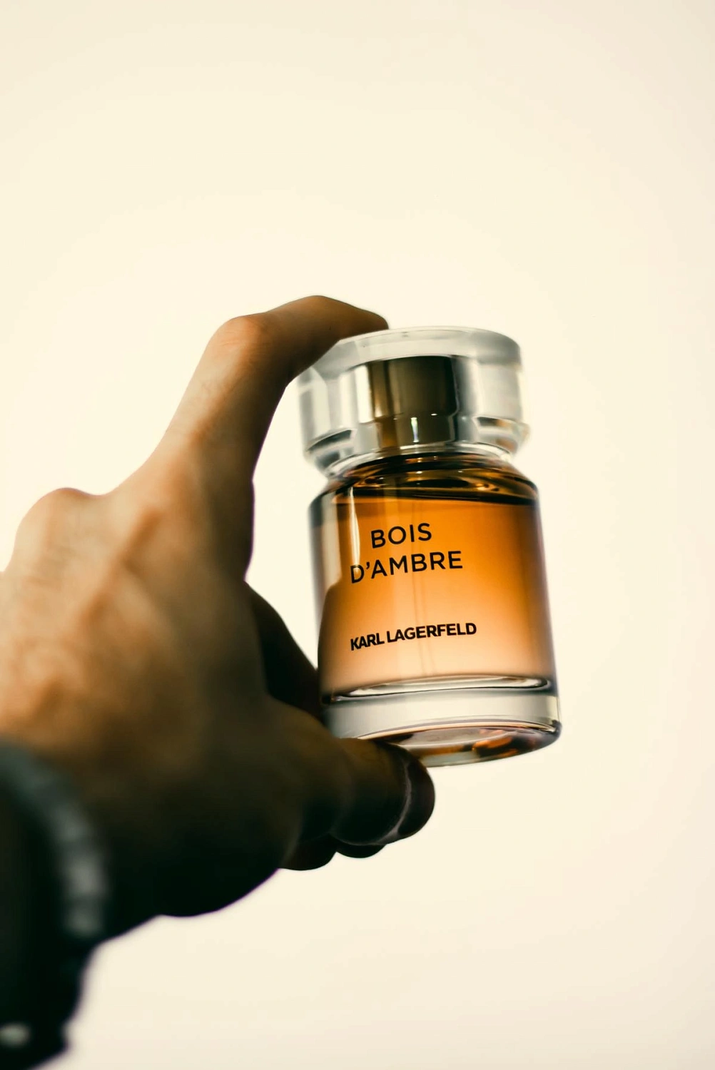 Karl Lagerfeld Bois d'Ambre