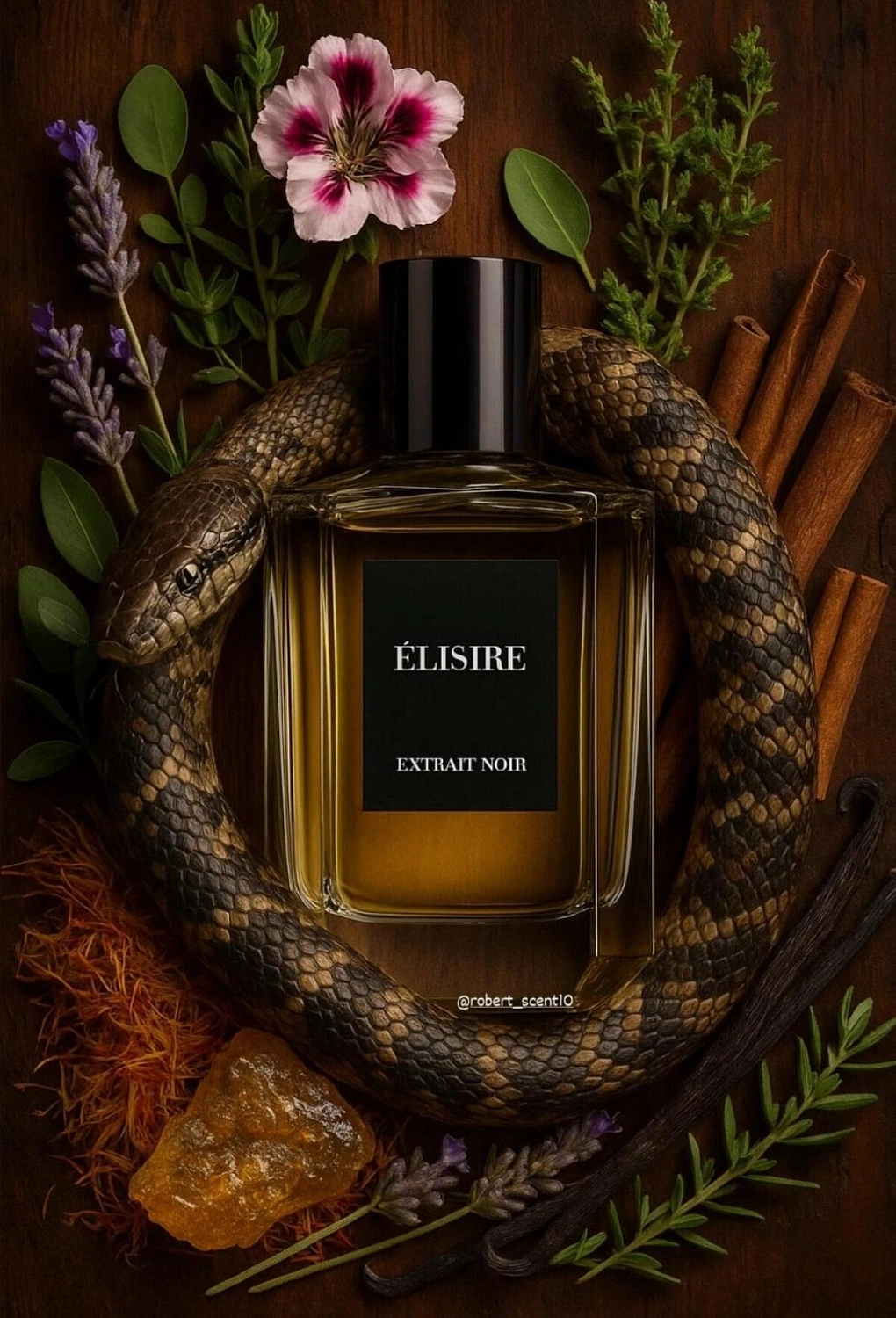 Elisire Extrait Noir