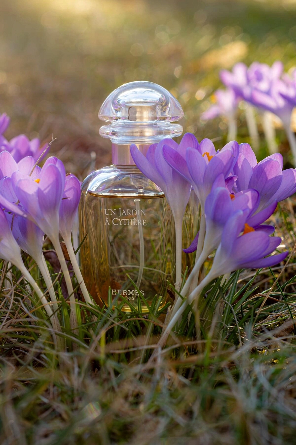 Hermès Un Jardin a Cythere