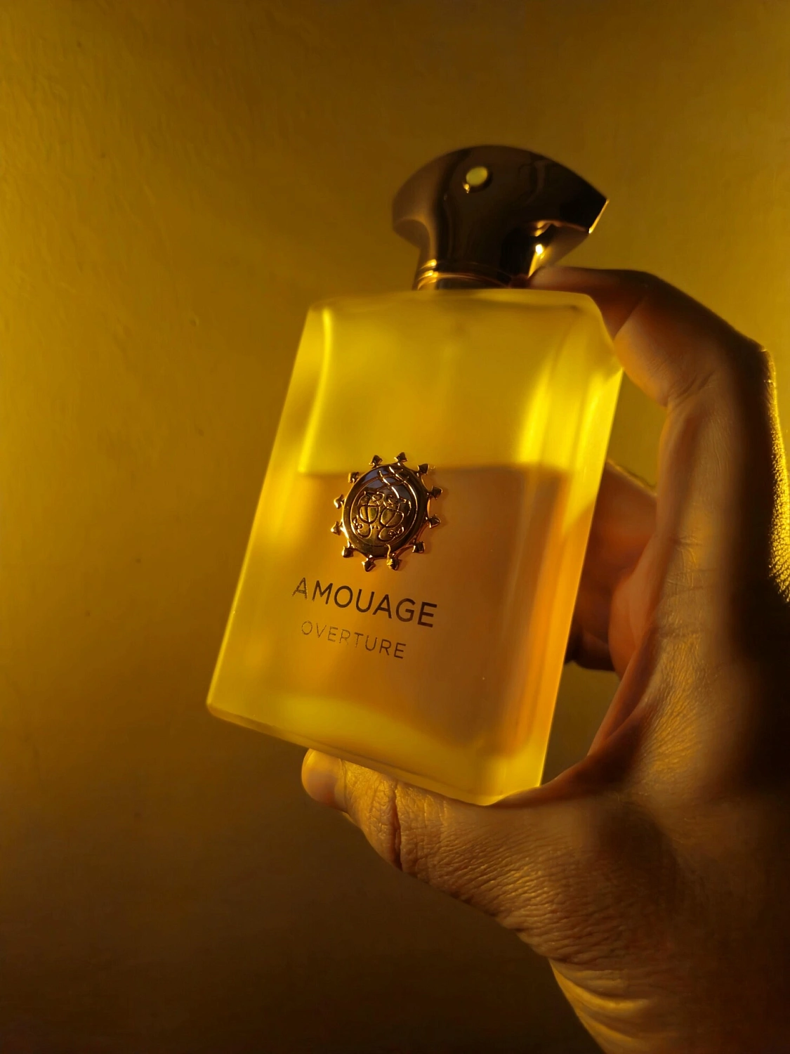 Amouage Overture Man
