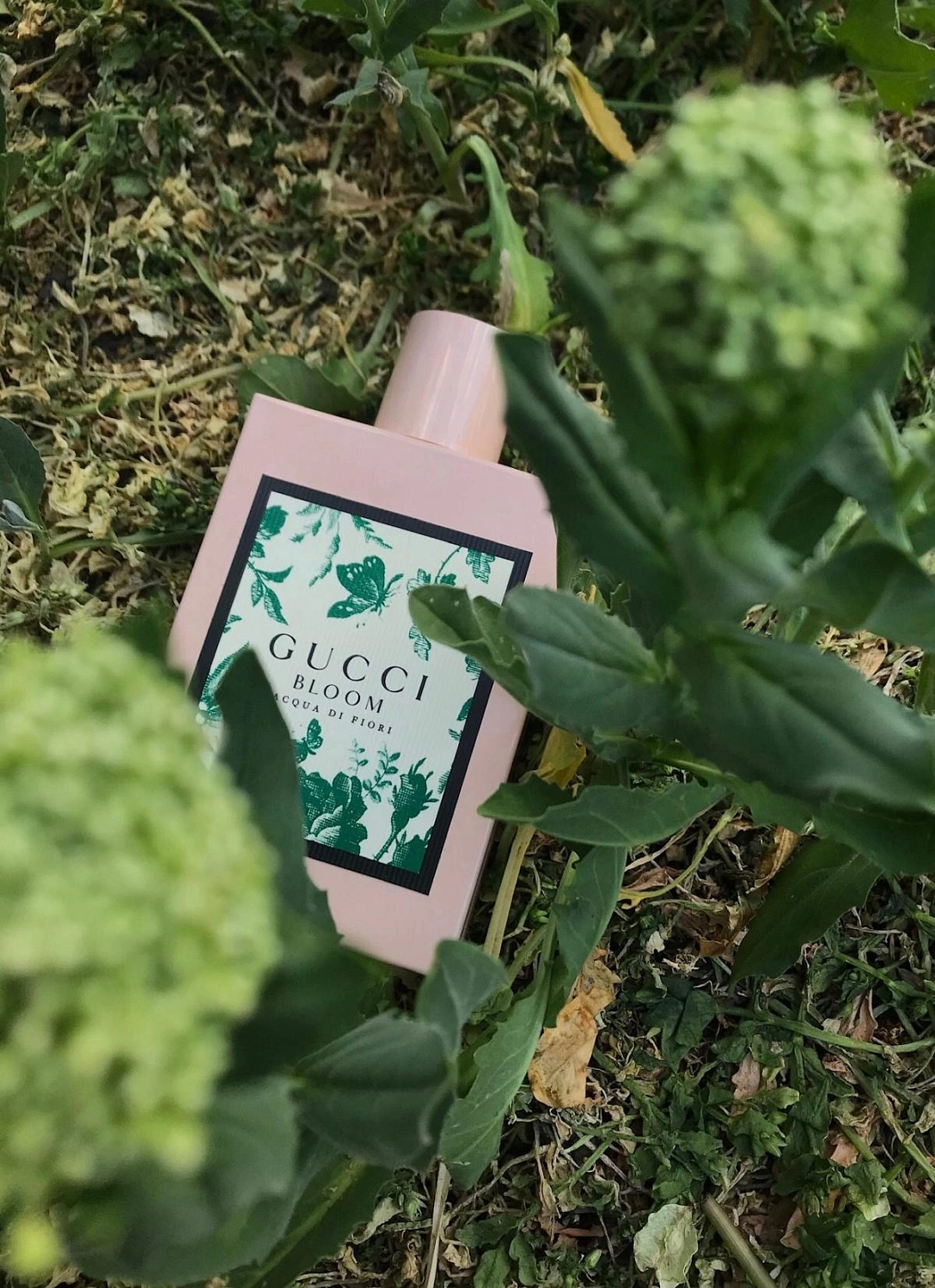 Gucci Bloom Acqua di Fiori