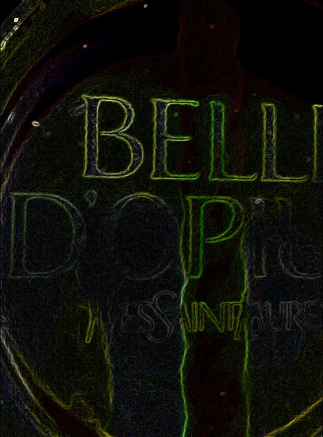 Yves Saint Laurent Belle d'Opium