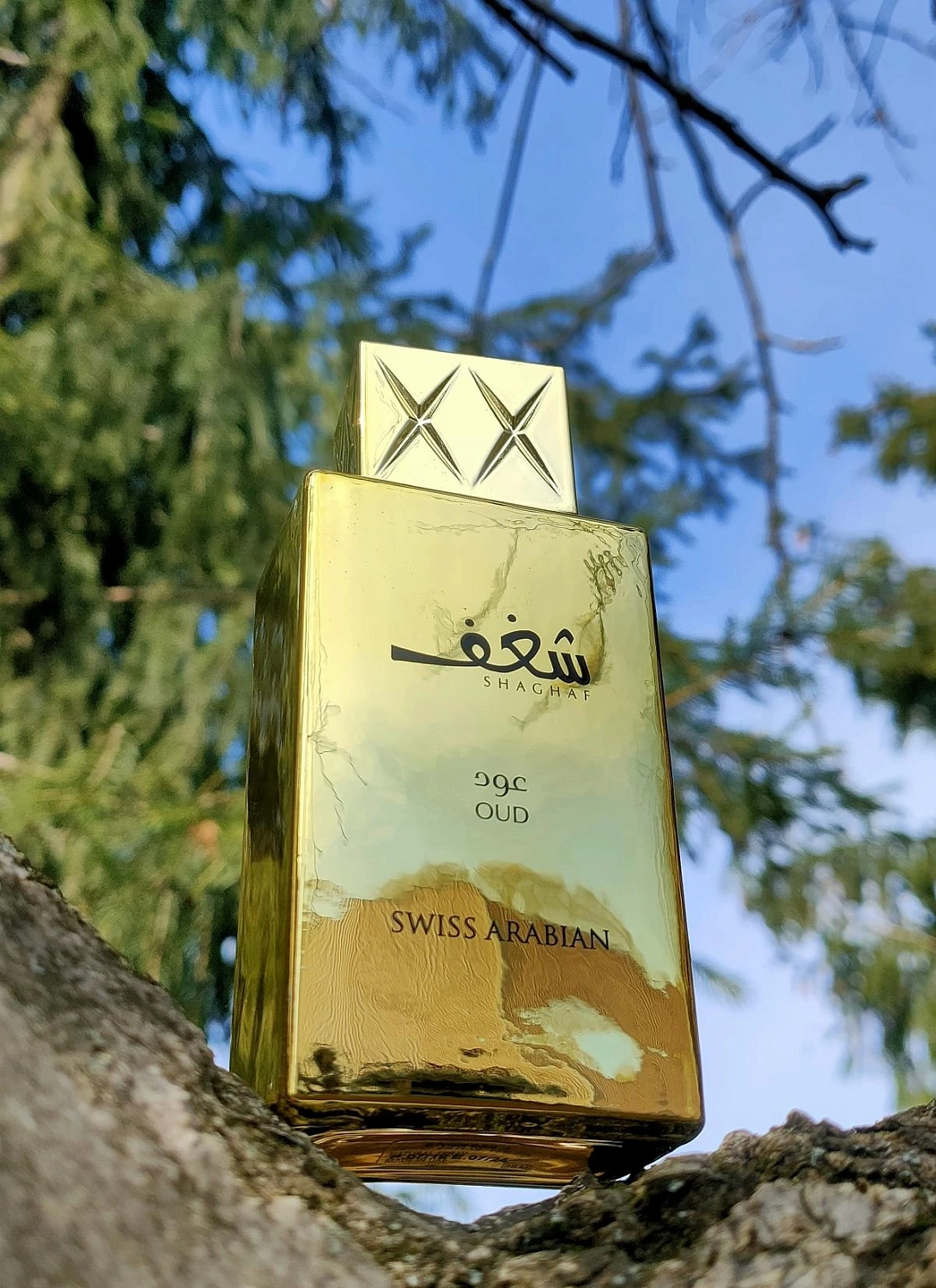 Swiss Arabian Shaghaf Oud