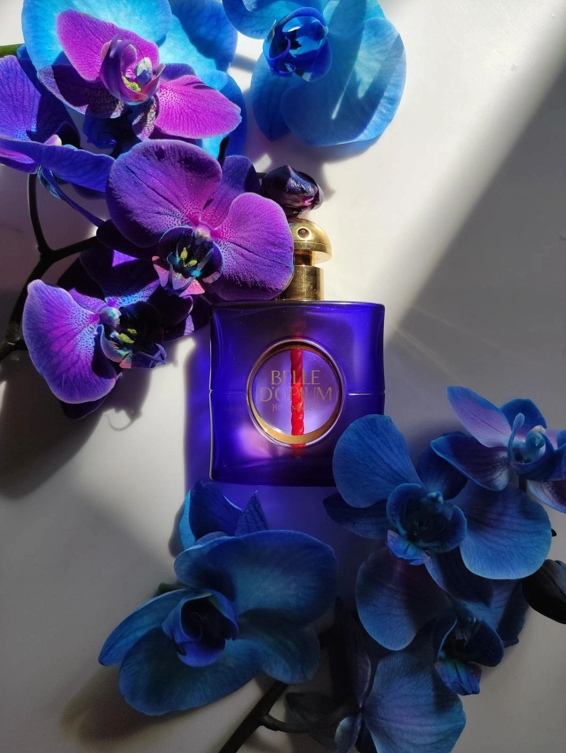 Yves Saint Laurent Belle d'Opium