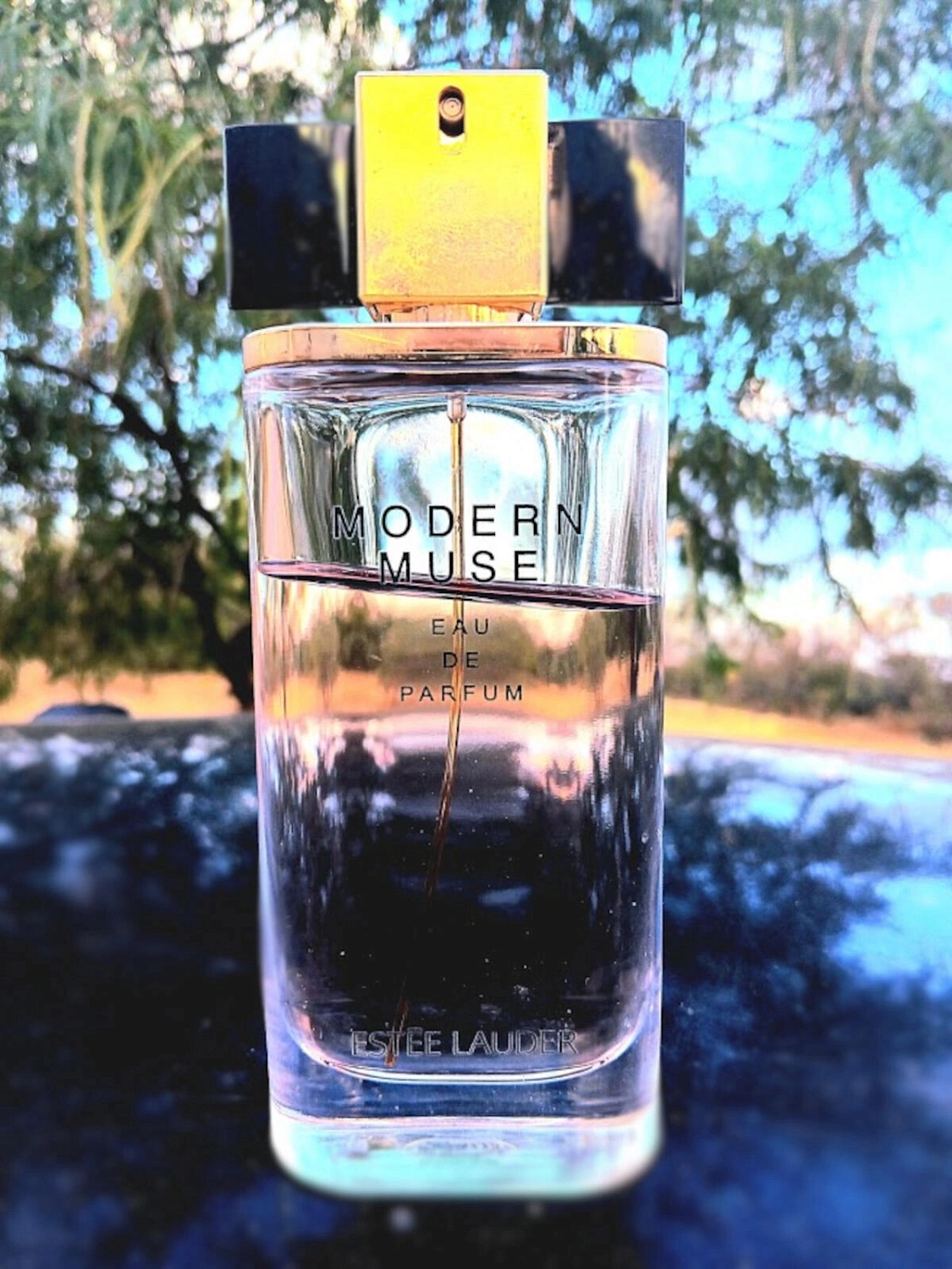 Estée Lauder Modern Muse