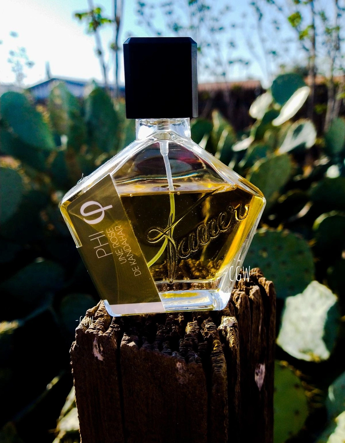 Tauer Perfumes PHI Une Rose De Kandahar