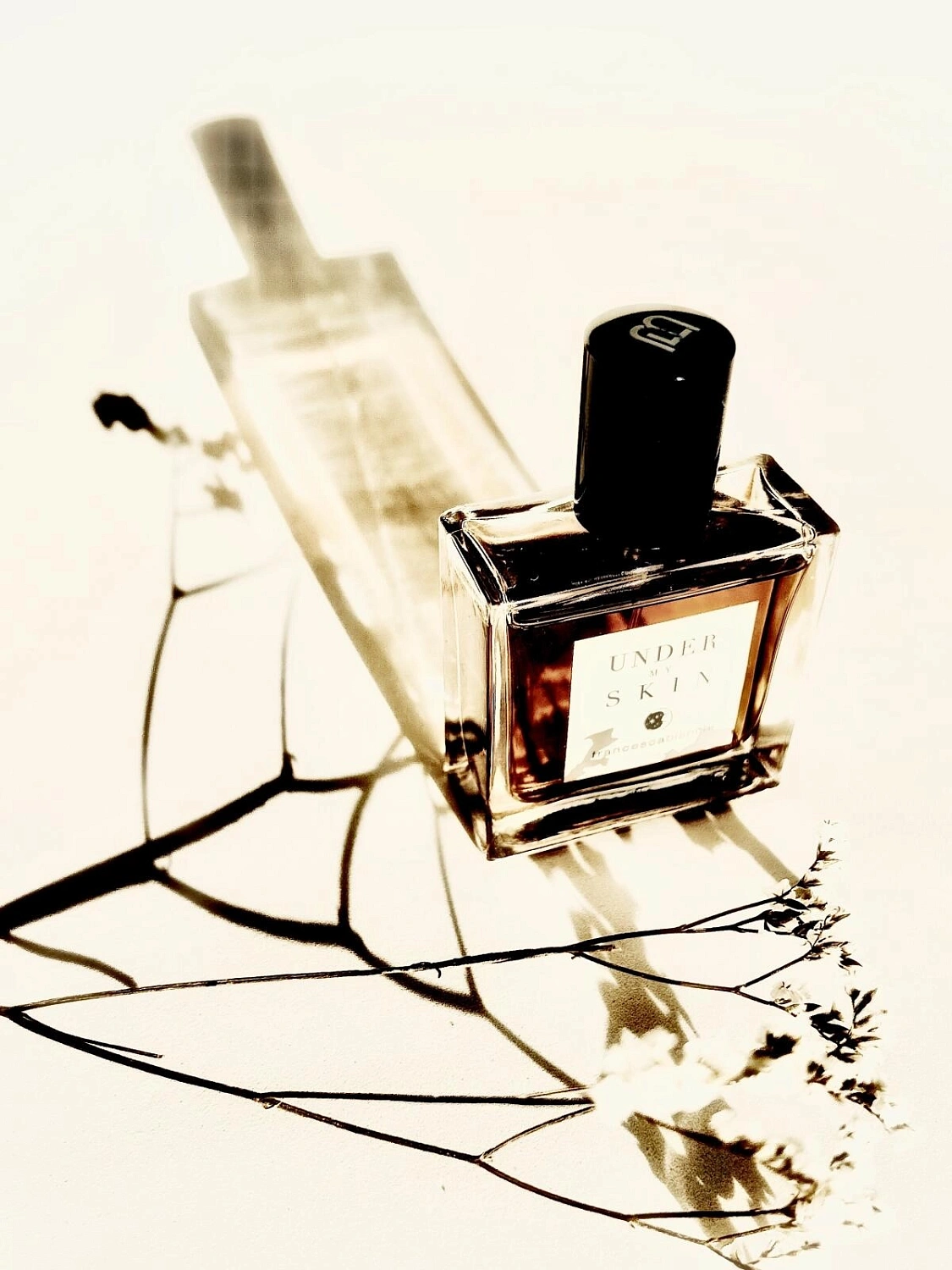 Francesca Bianchi Under My Skin