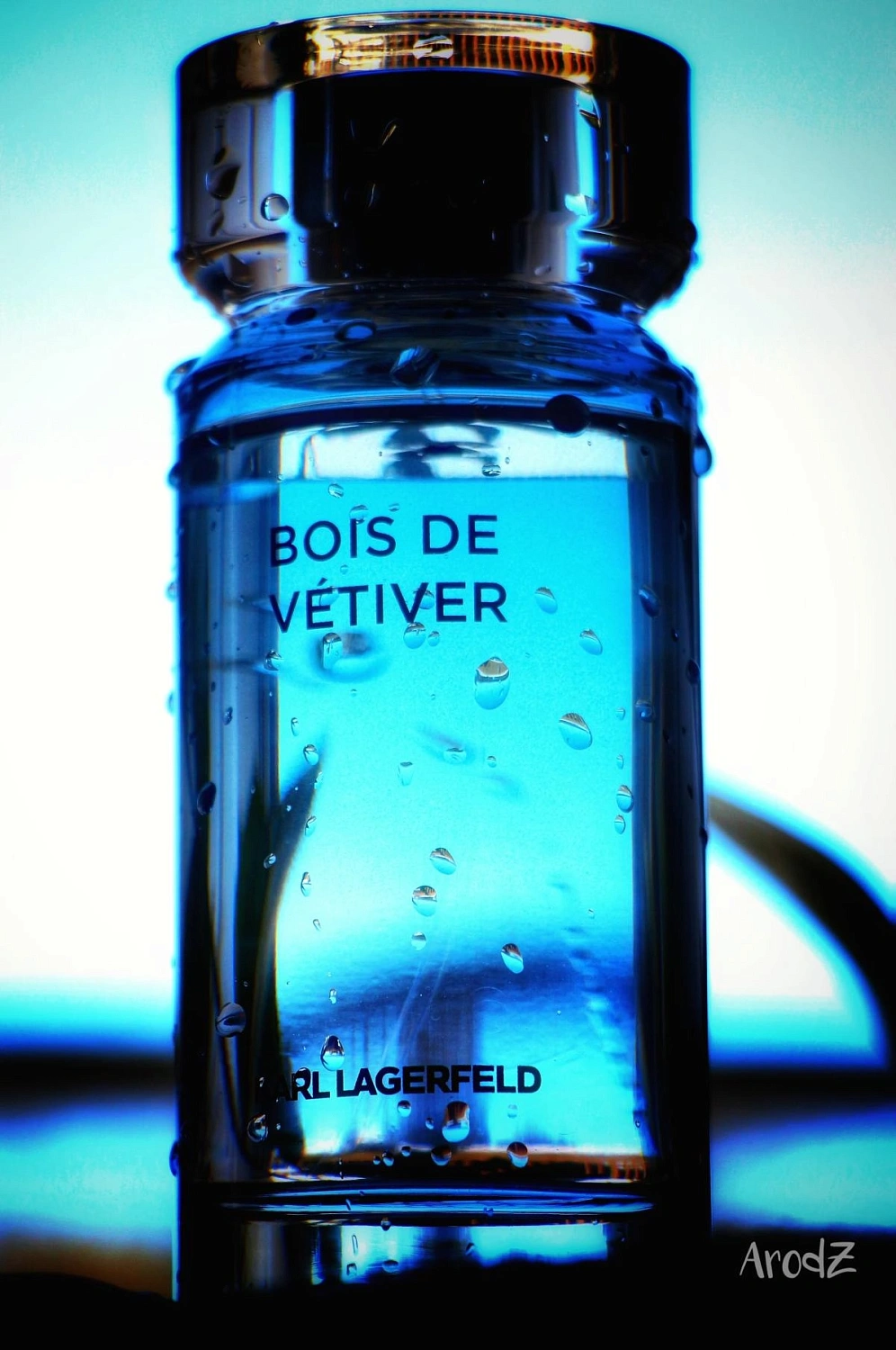 Karl Lagerfeld Bois de Vetiver
