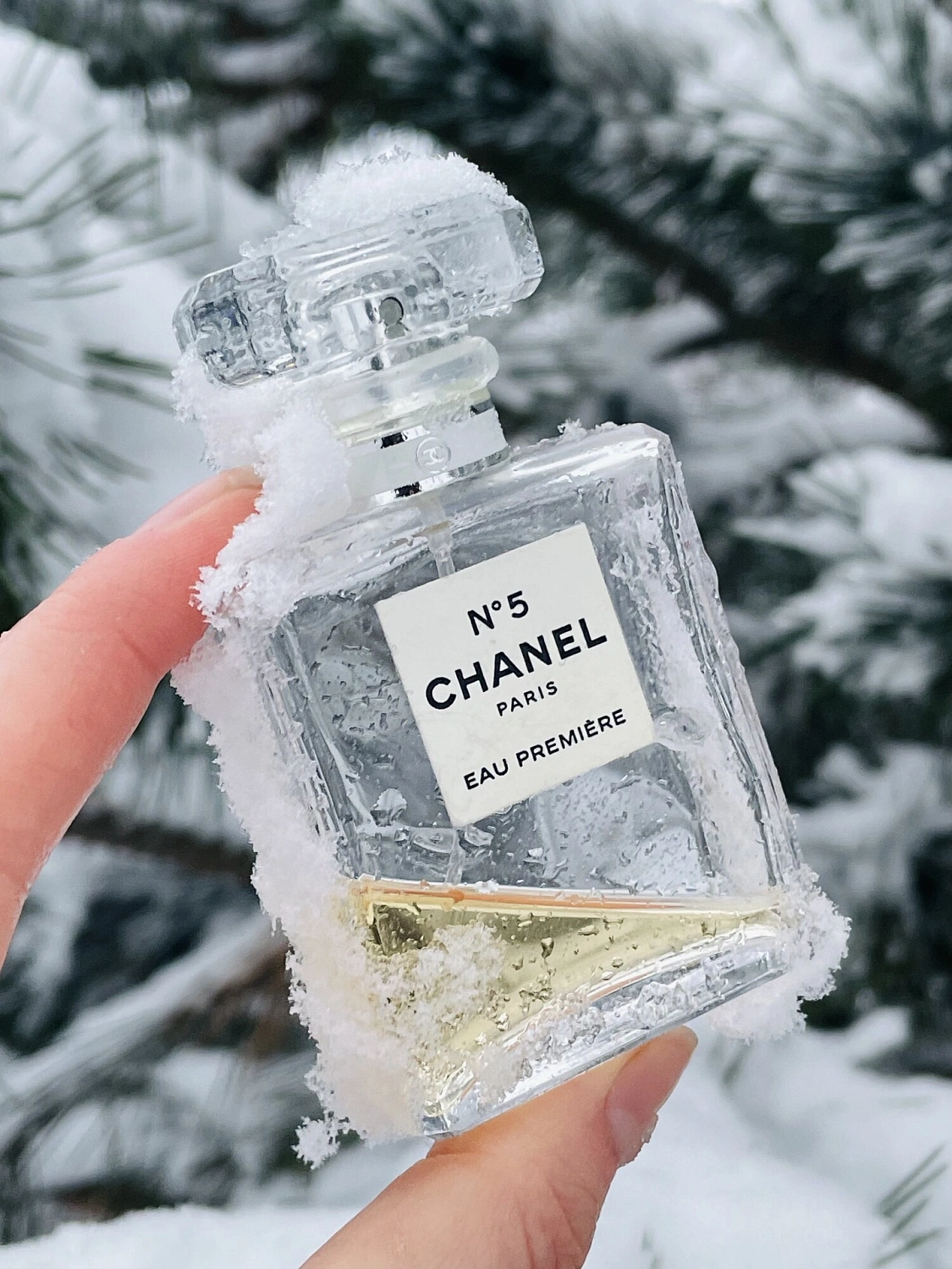 Chanel N°5 Eau Premiere