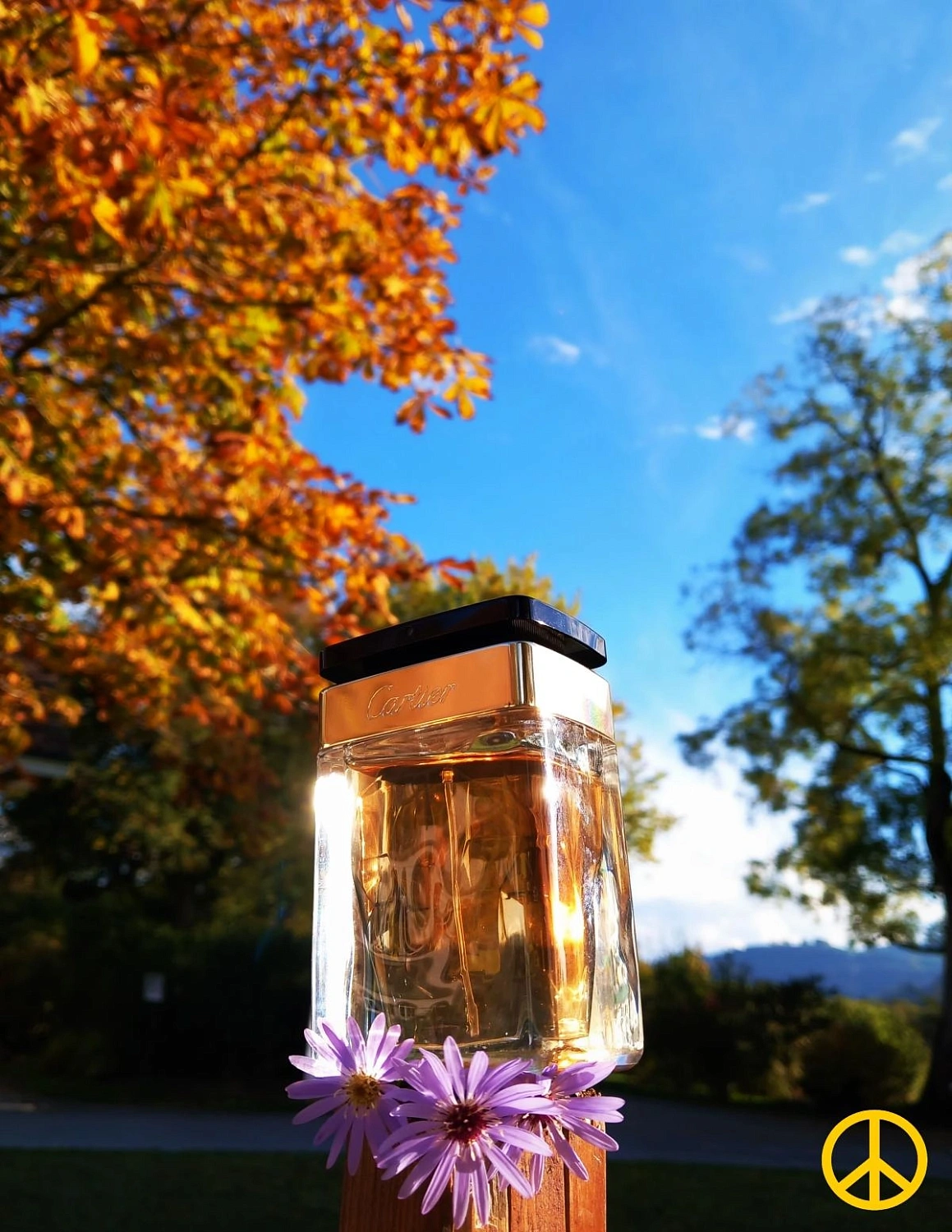 Cartier La Panthere Edition Soir