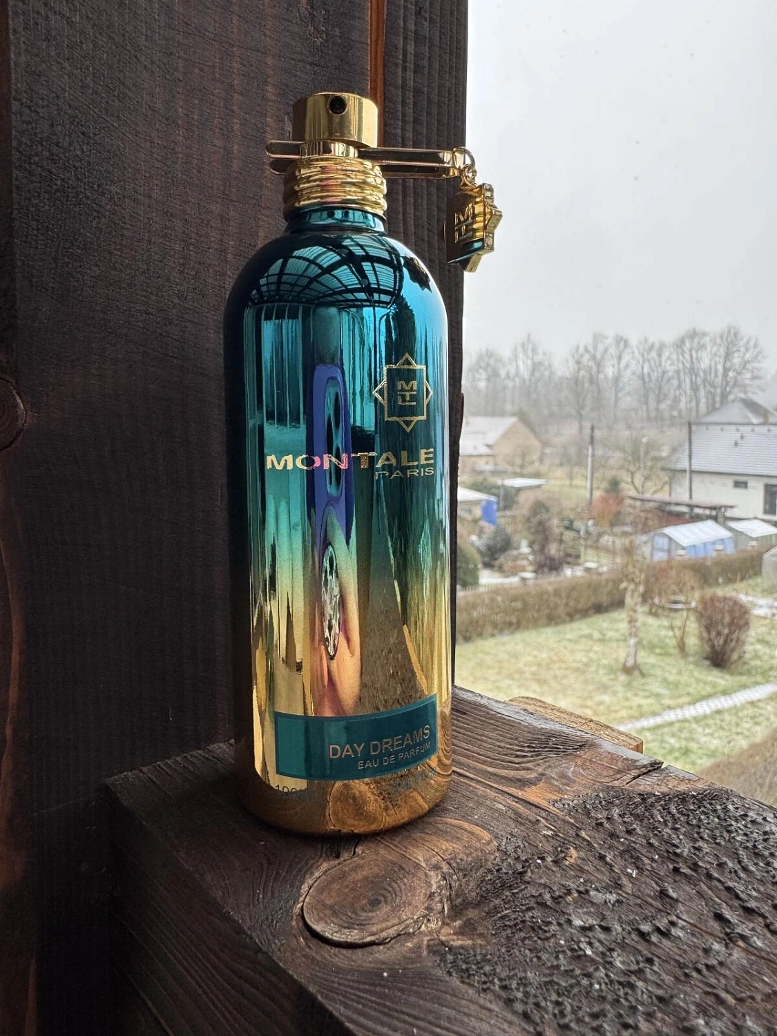 Montale Day Dreams