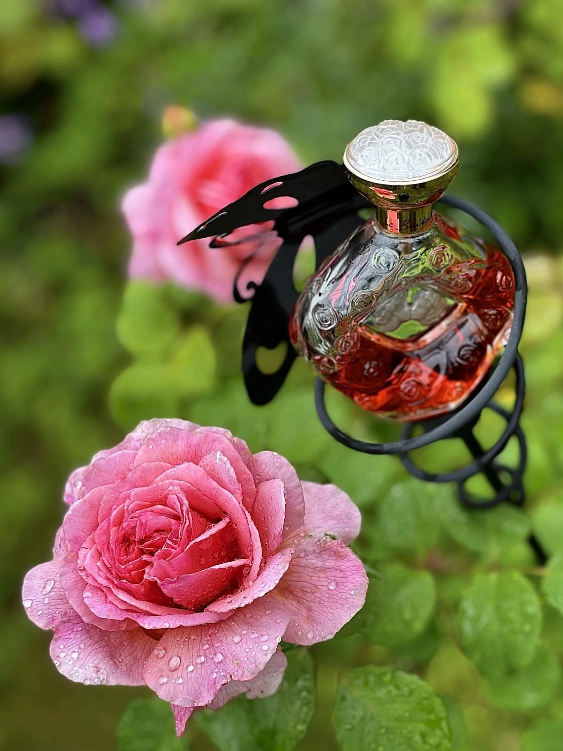 Lalique Le Baiser
