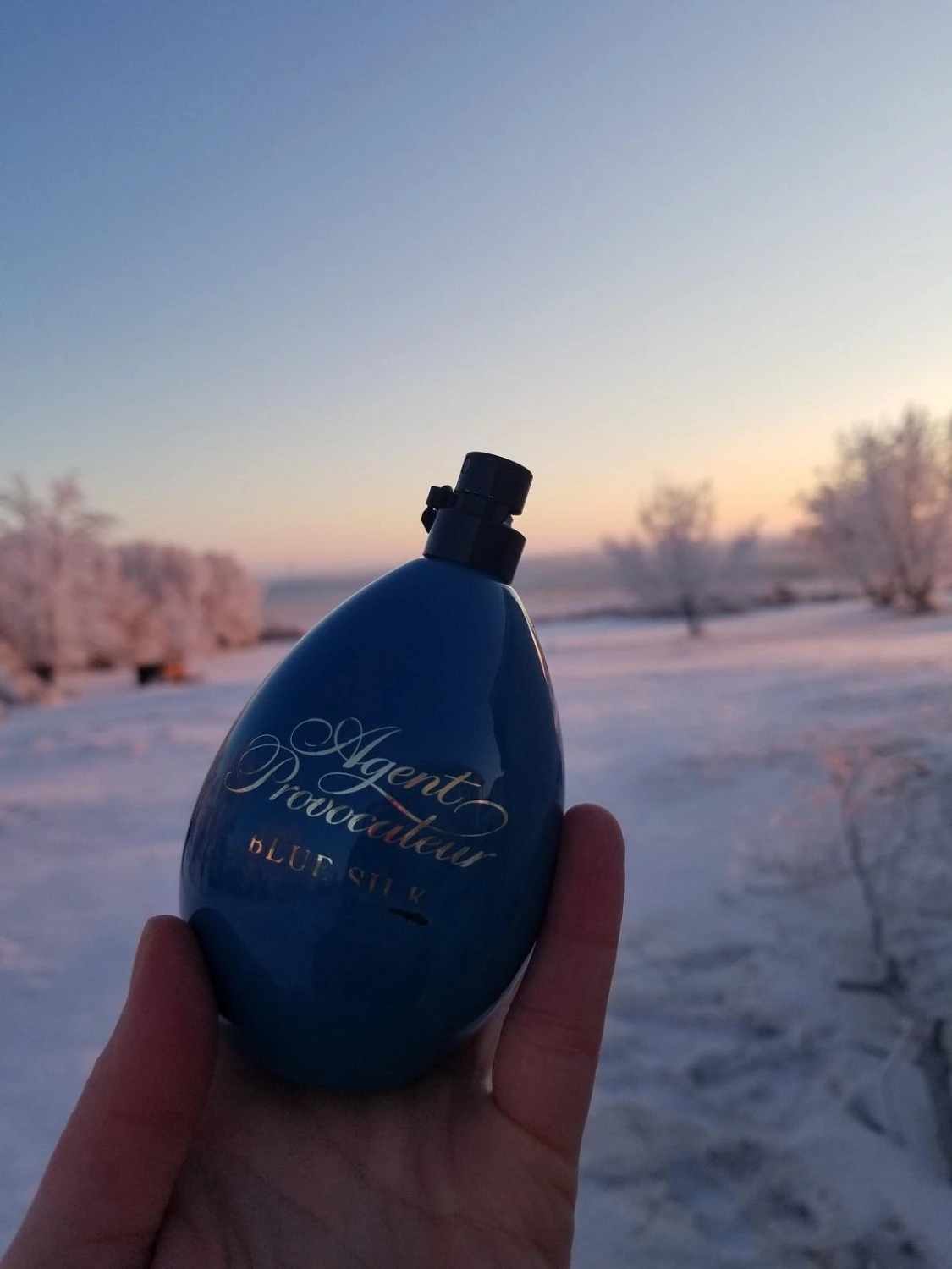 Agent Provocateur Blue Silk