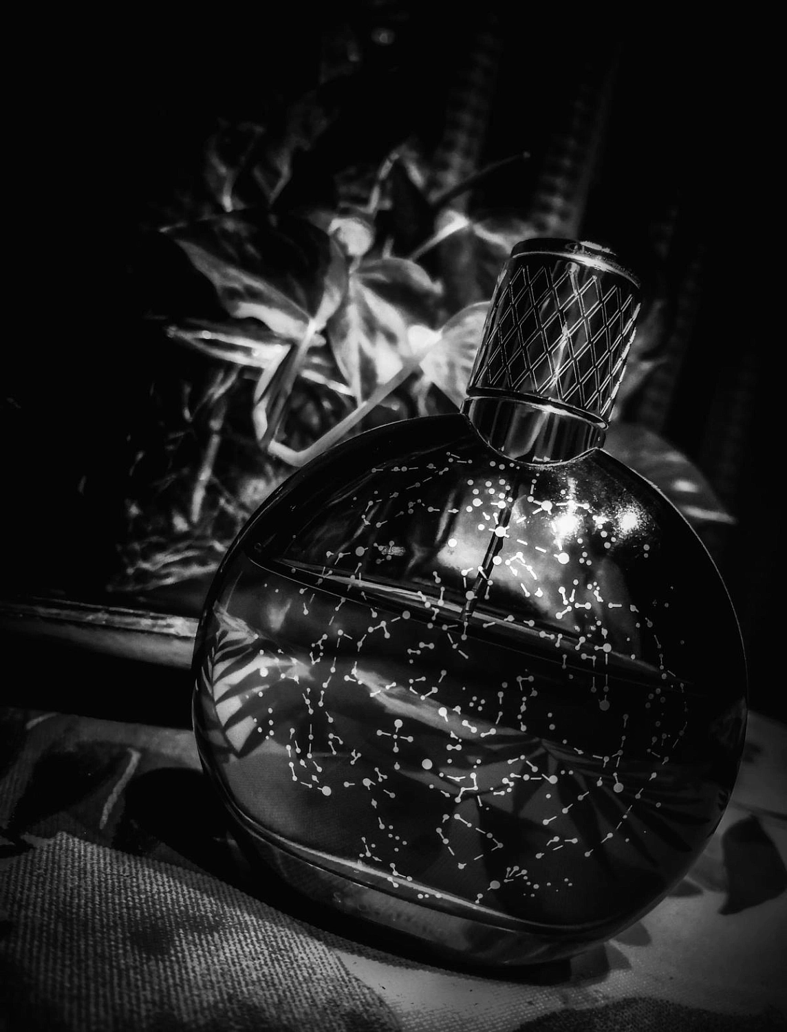 Van Cleef & Arpels Midnight in Paris