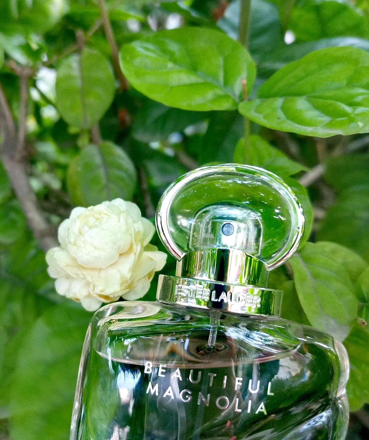 Estée Lauder Beautiful Magnolia