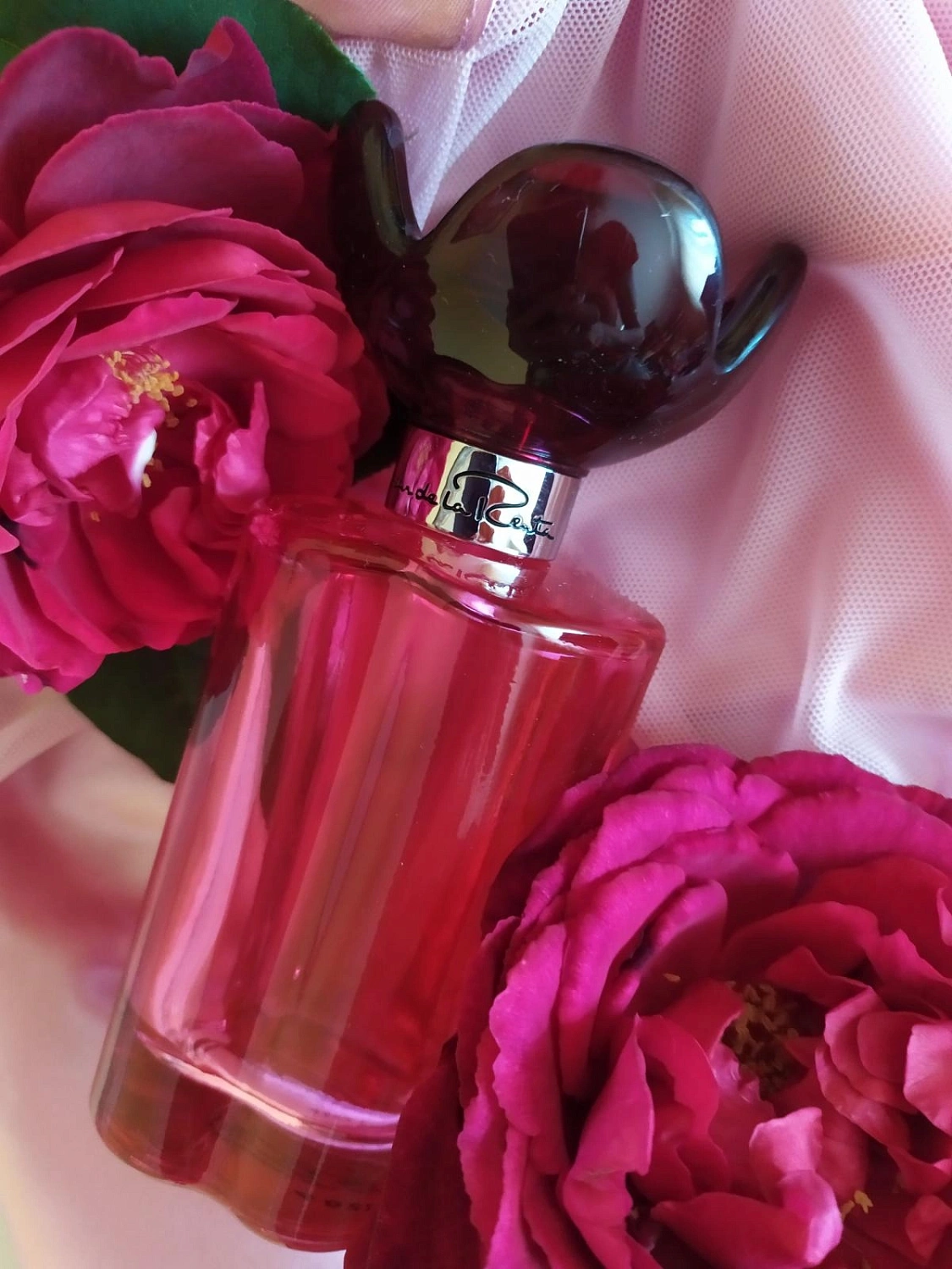 Oscar de la Renta Oscar Rose