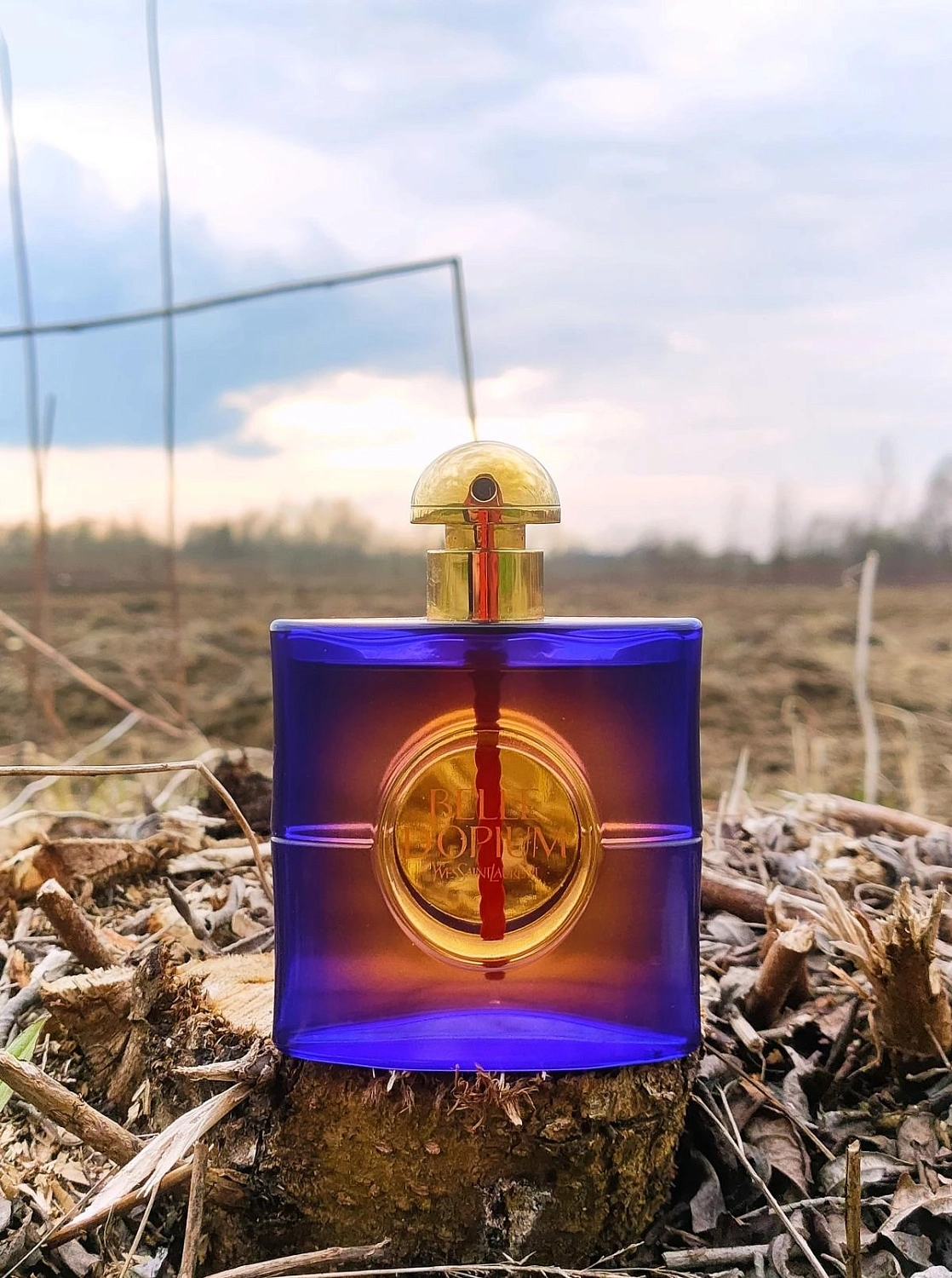 Yves Saint Laurent Belle d'Opium
