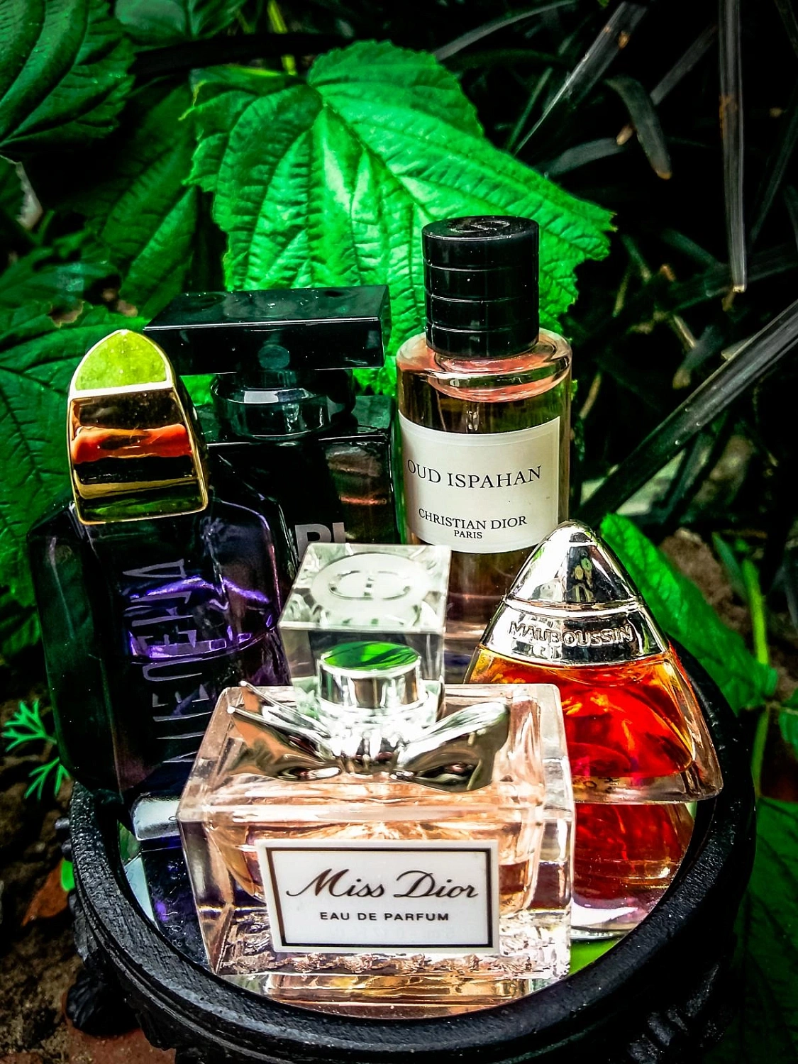 Karl Lagerfeld for Him (pour homme)