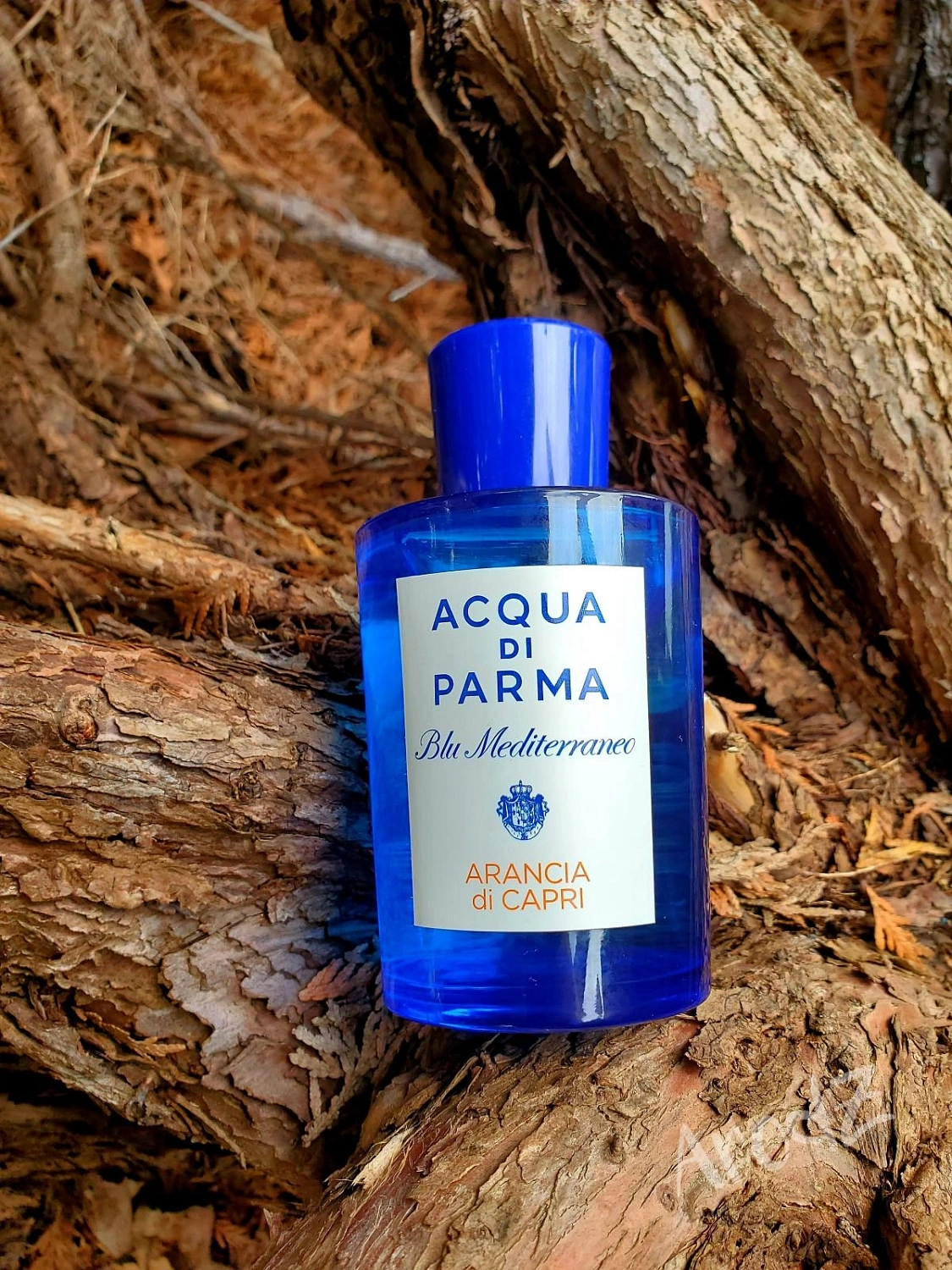 Acqua di Parma Arancia di Capri