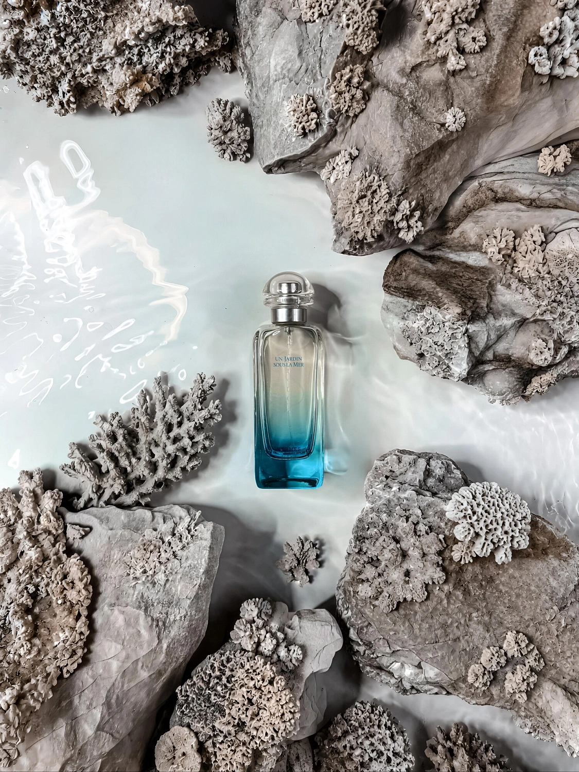 Hermès Un Jardin Sous la Mer