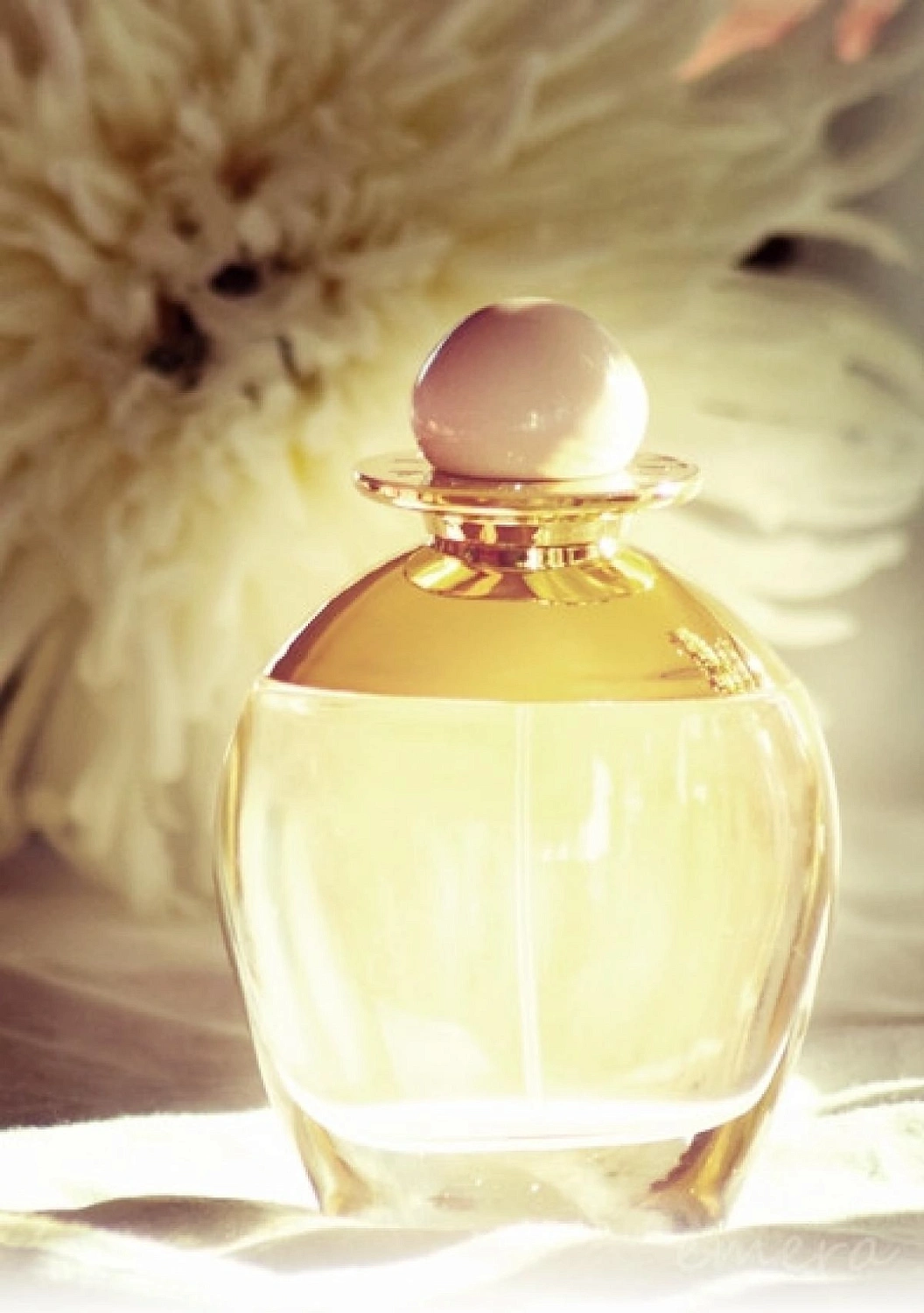 Bill Blass Nude