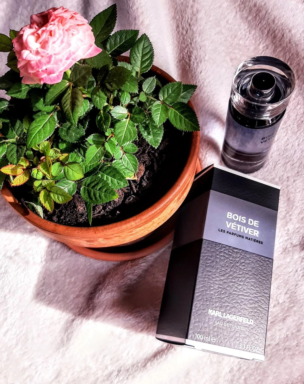 Karl Lagerfeld Bois de Vetiver