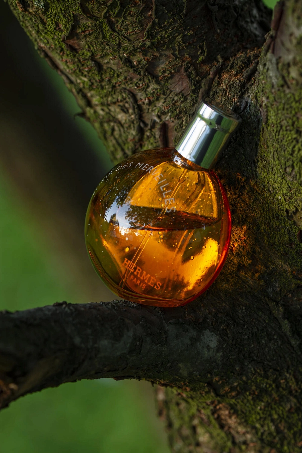 Hermès Elixir des Merveilles