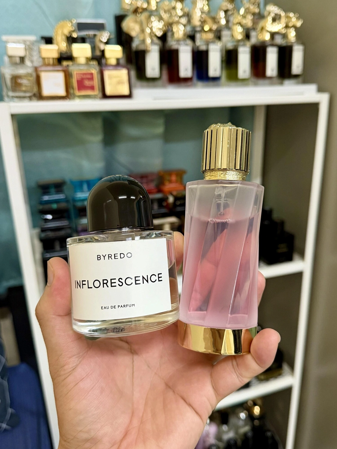 BYREDO Inflorescence