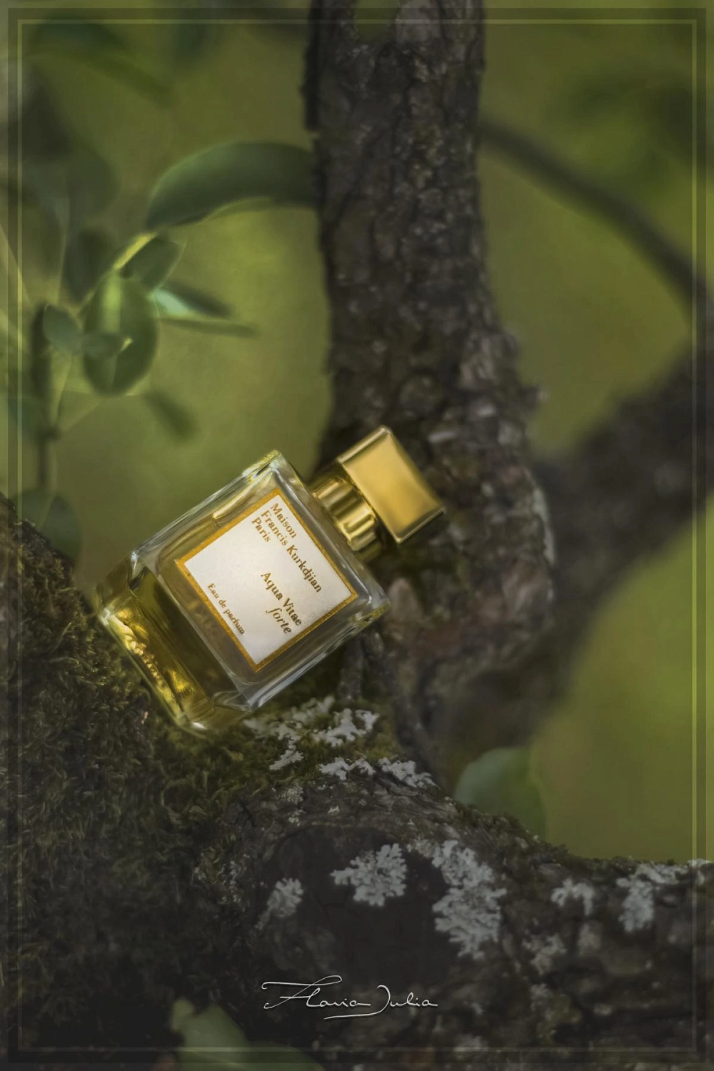 Maison Francis Kurkdjian Aqua Vitae Forte
