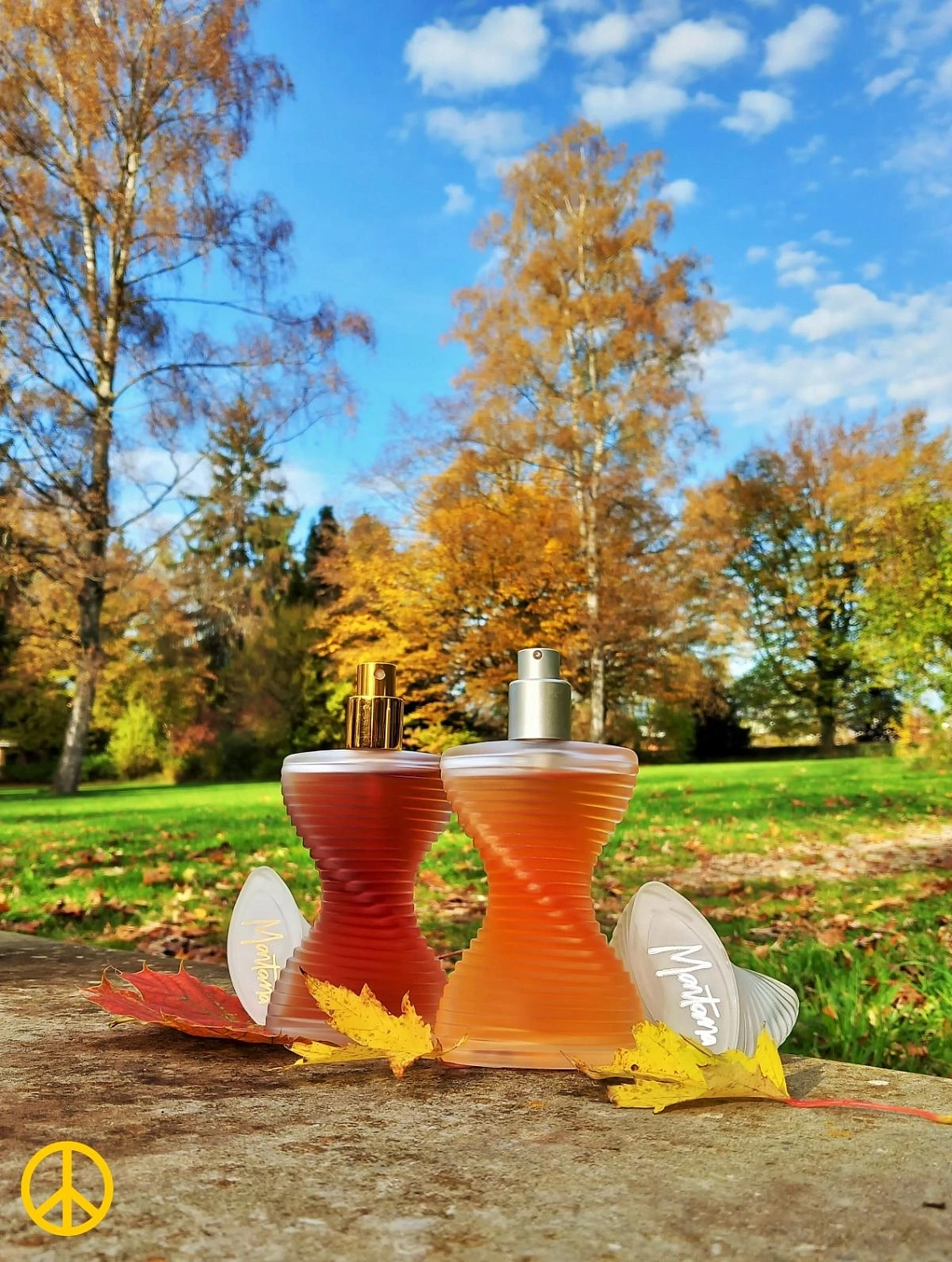Montana Parfum de Peau