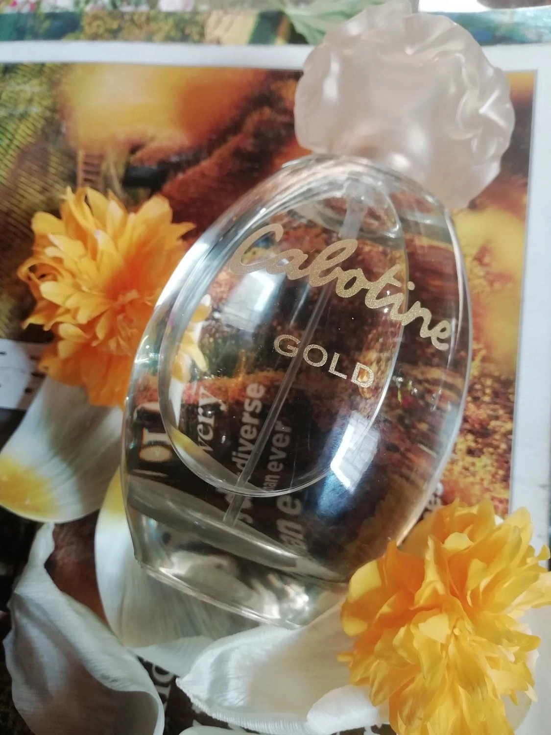 Grès Cabotine Gold