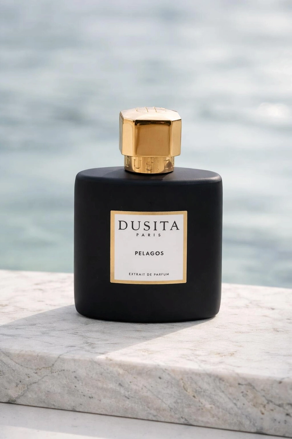 Dusita Pelagos