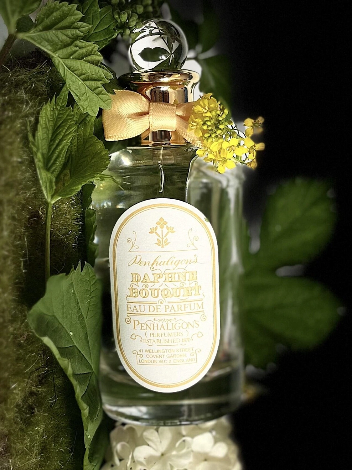 Penhaligon's Daphne Bouquet