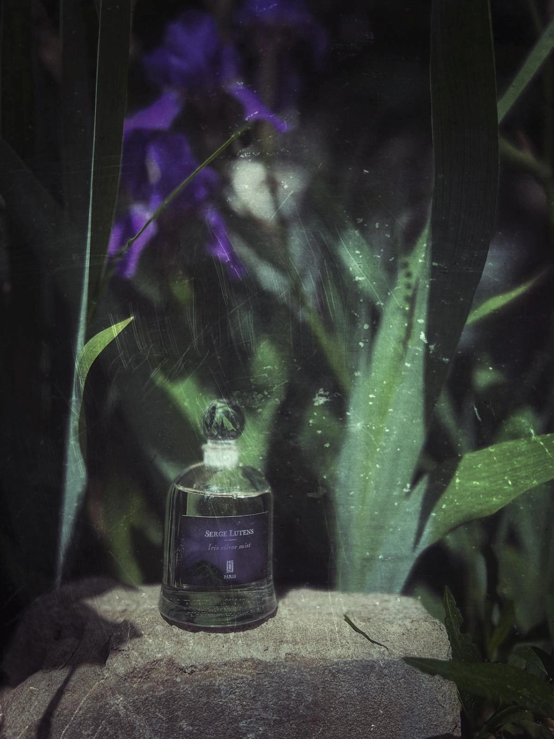 Serge Lutens Iris Silver Mist