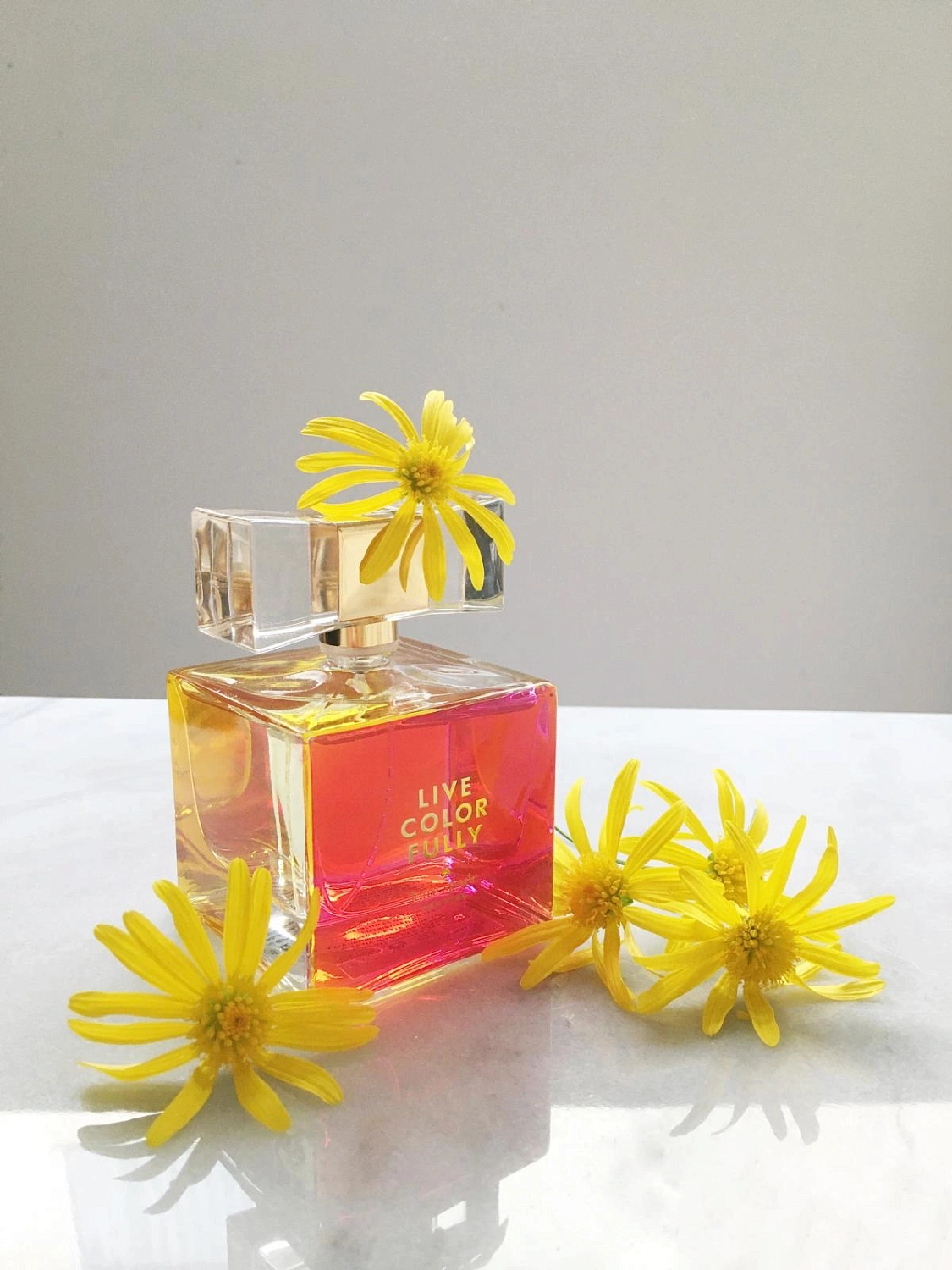 Kate Spade Live Colorfully