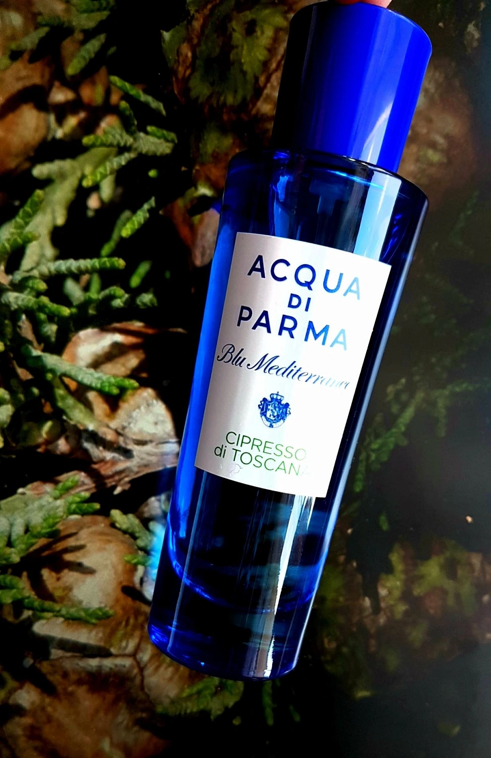 Acqua di Parma Cipresso di Toscana