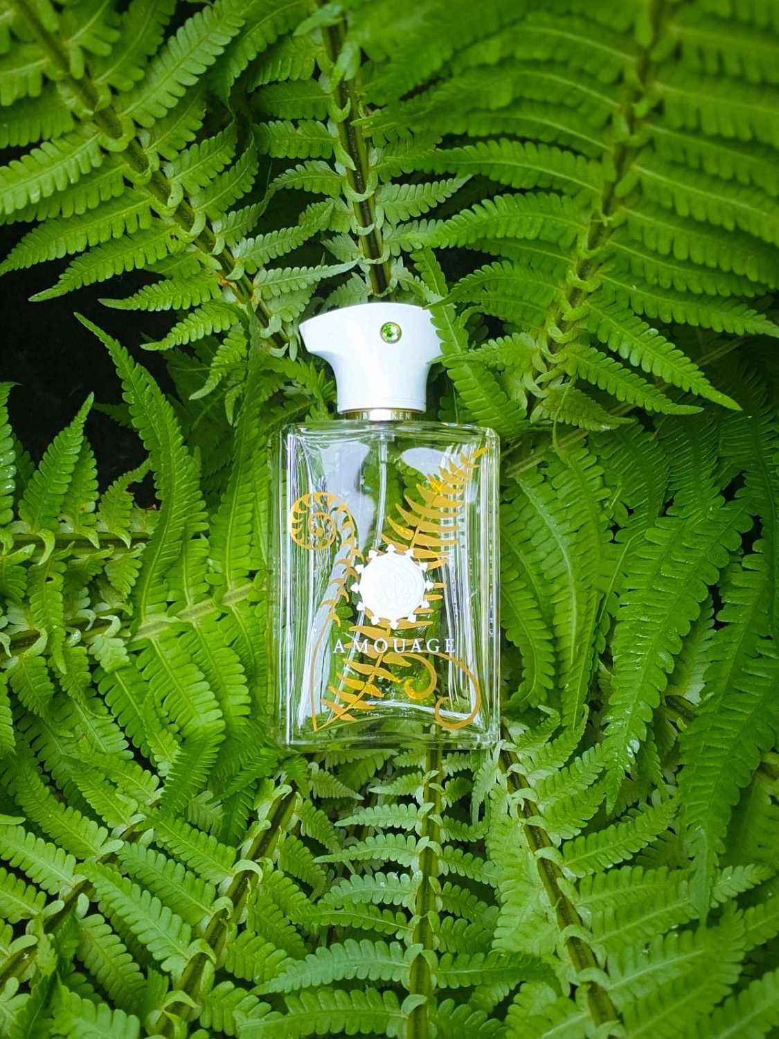 Amouage Bracken Man