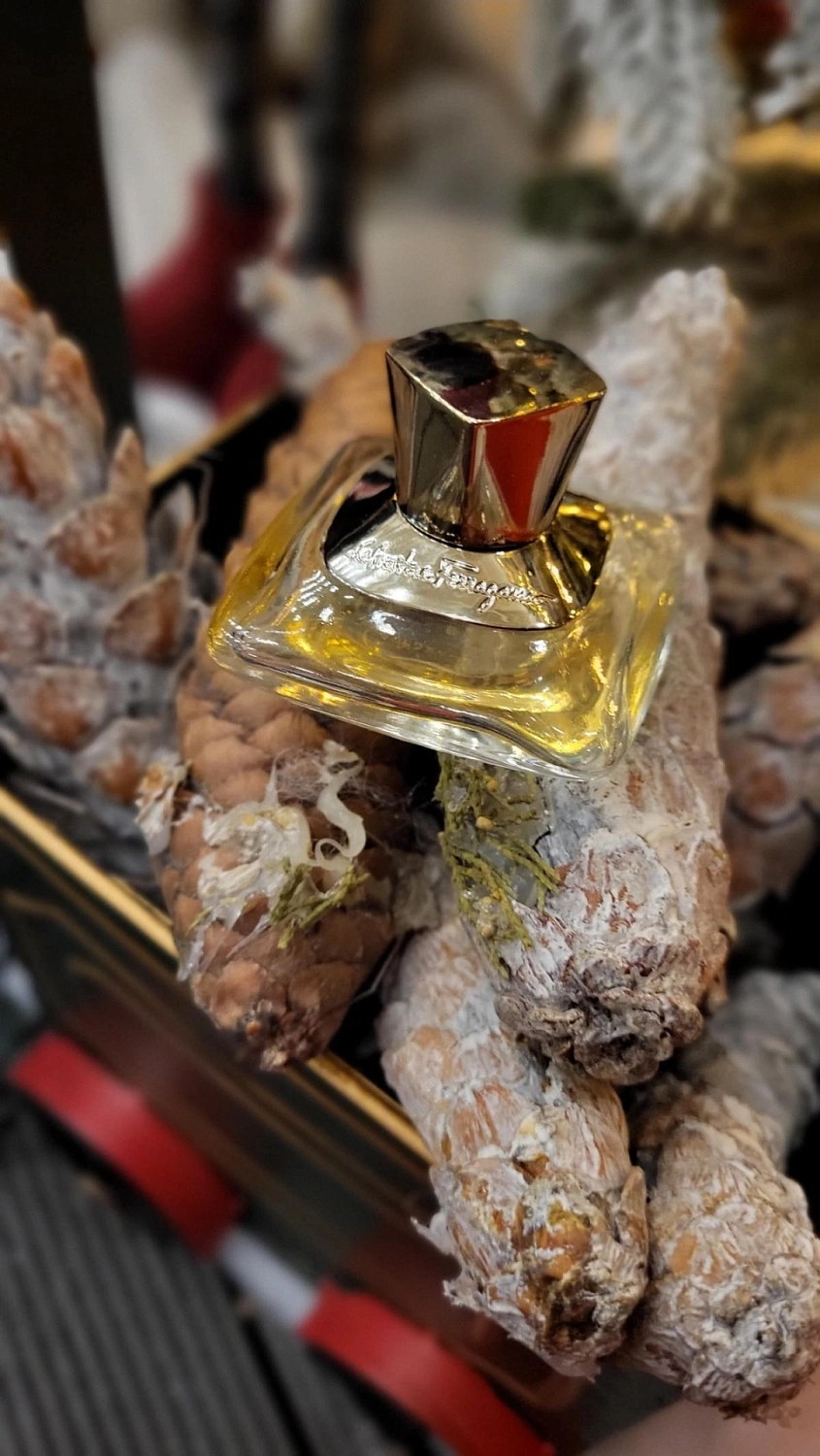 Salvatore Ferragamo Signorina Eleganza